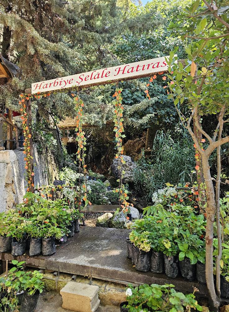 Harbiye Şelalesi’nde Doğa Ve Serinlik Bir Arada3-1