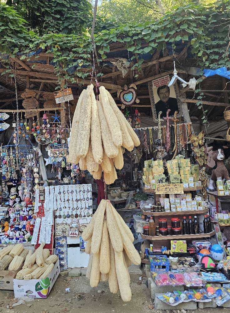 Harbiye Şelalesi’nde Doğa Ve Serinlik Bir Arada5