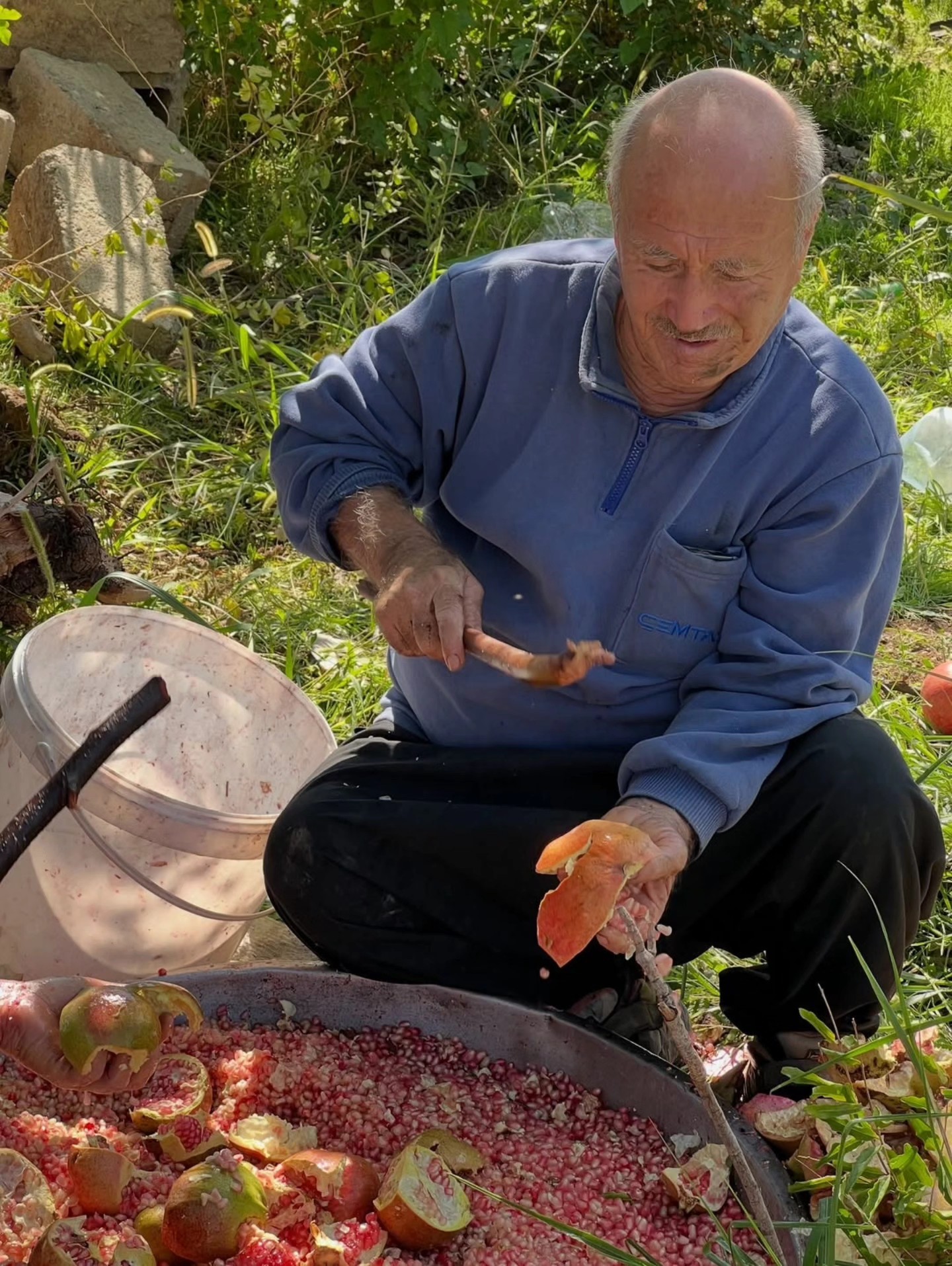 Hassa’da Nar Ekşisi Sezonu Başladı Lezzetli Hasat3