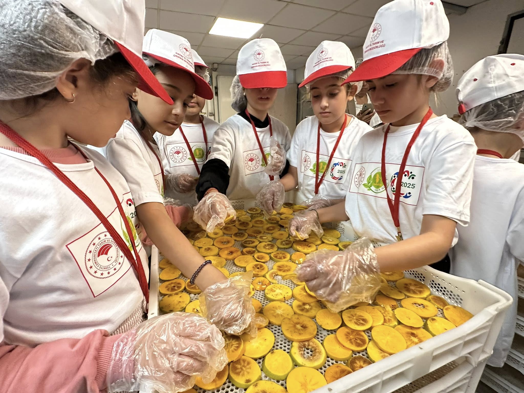 Hatay’da Lider Çocuk Tarım Kampı Etkinliği Düzenlendi2