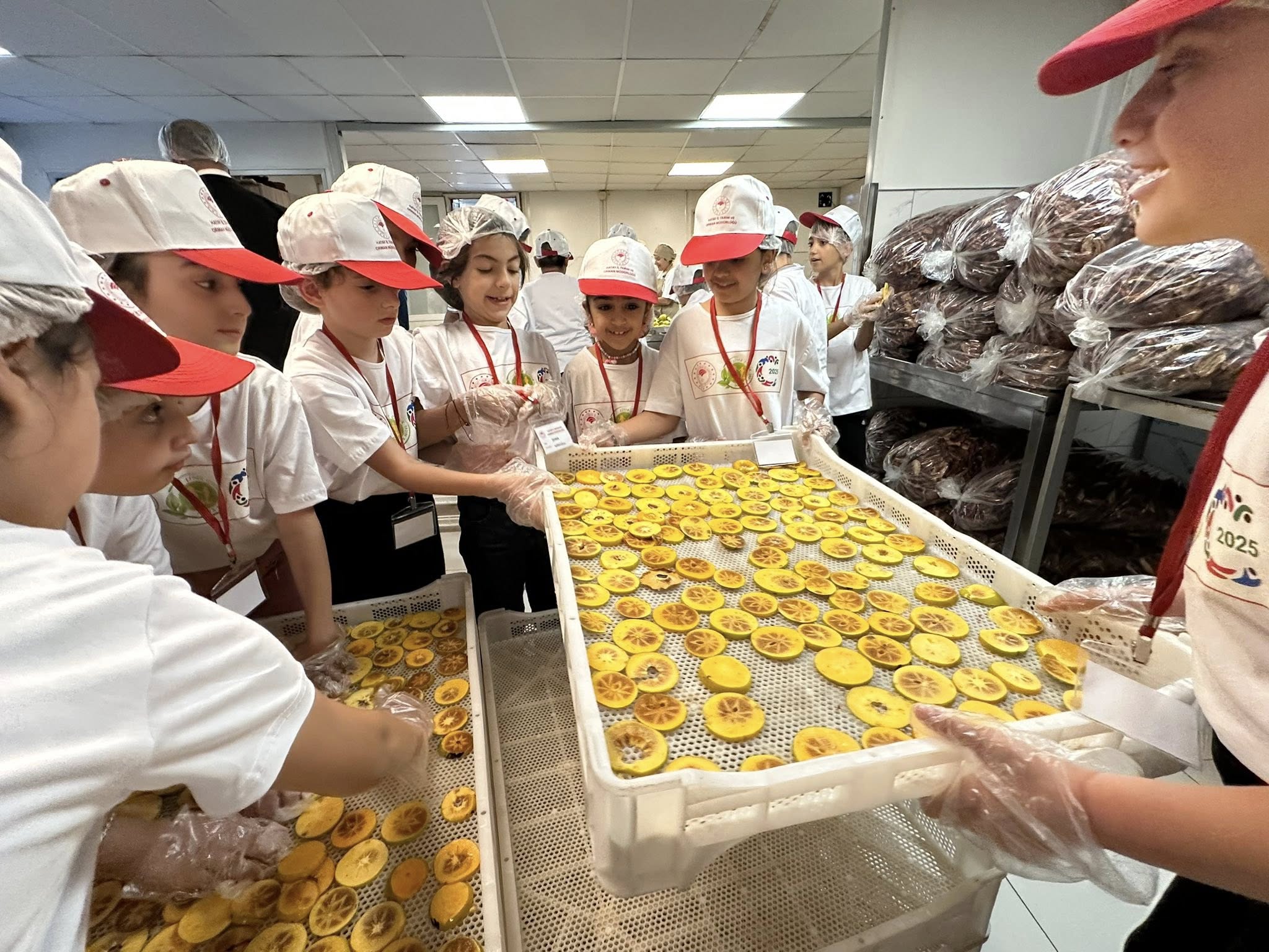 Hatay’da Lider Çocuk Tarım Kampı Etkinliği Düzenlendi4