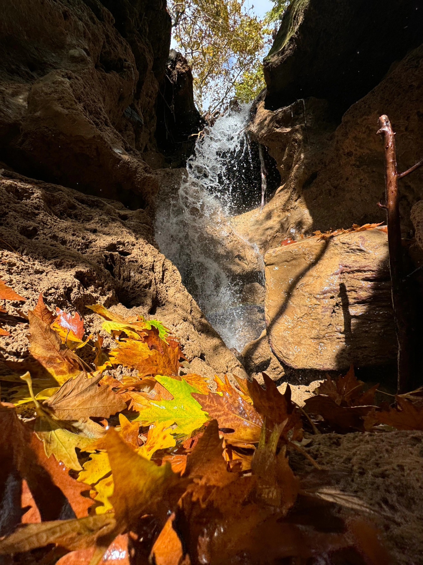 İskenderun Amanoslar Yonsul Yaylası’nda Doğa Keyfi10