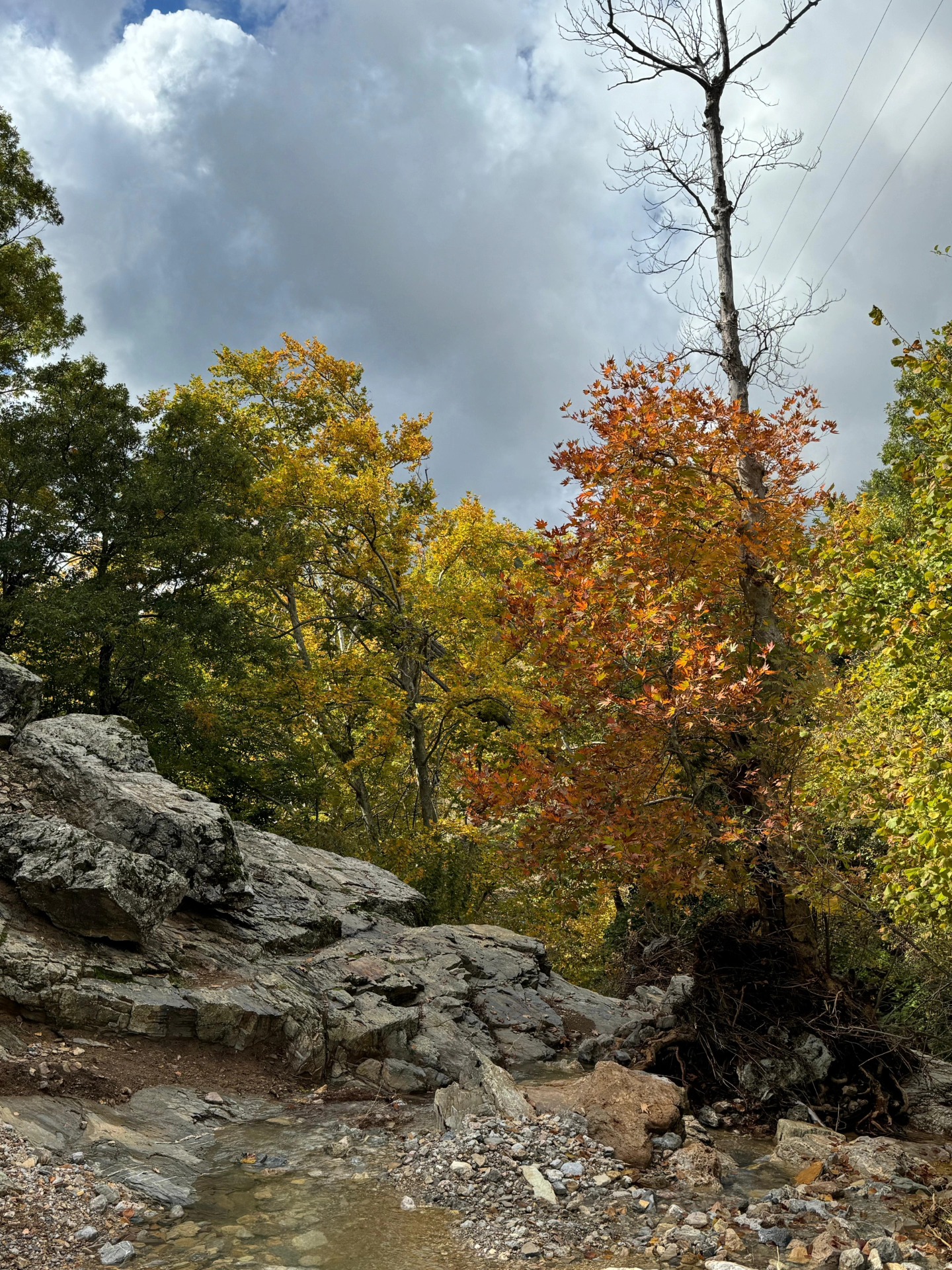 İskenderun Amanoslar Yonsul Yaylası’nda Doğa Keyfi12