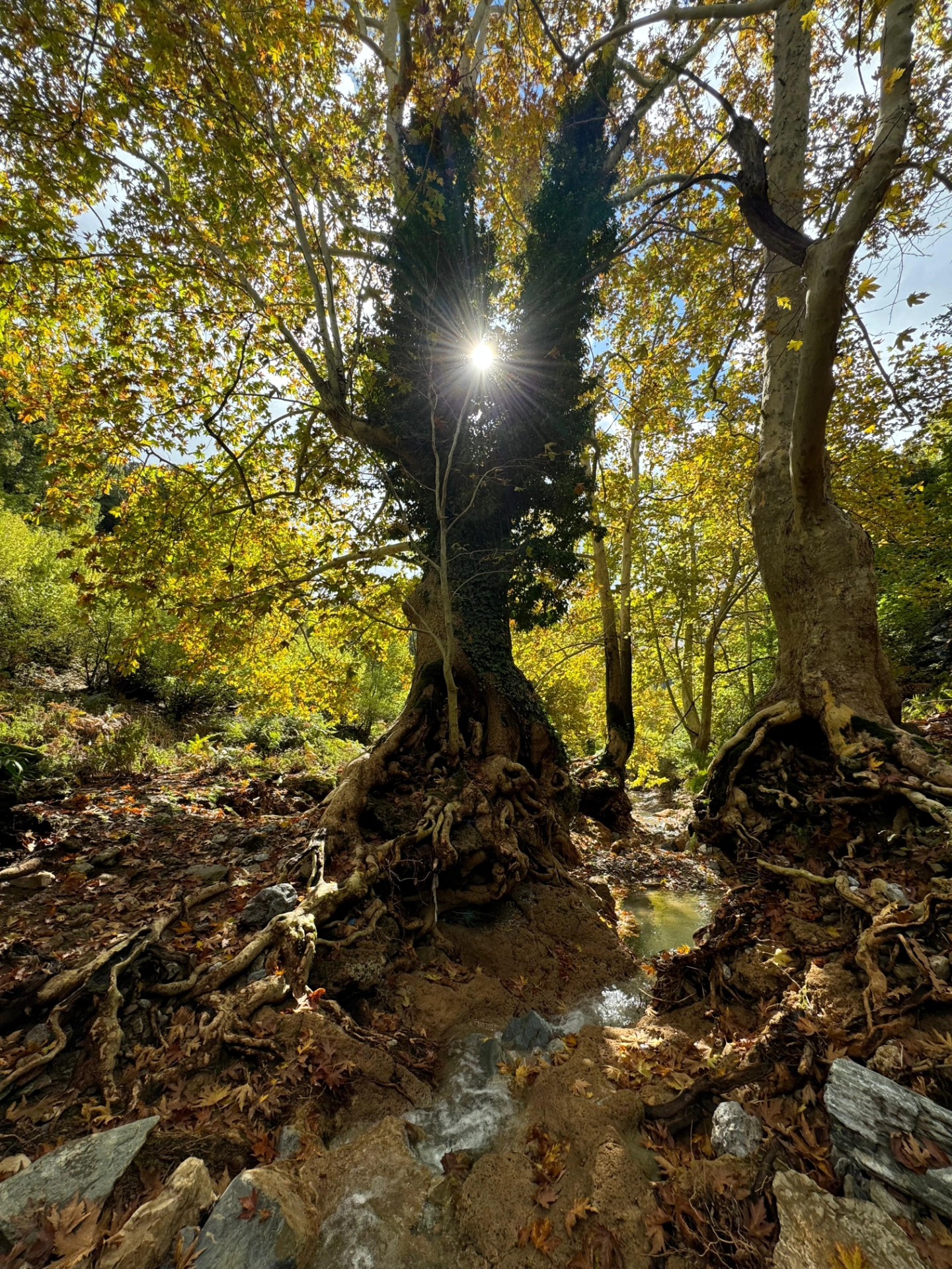 İskenderun Amanoslar Yonsul Yaylası’nda Doğa Keyfi16