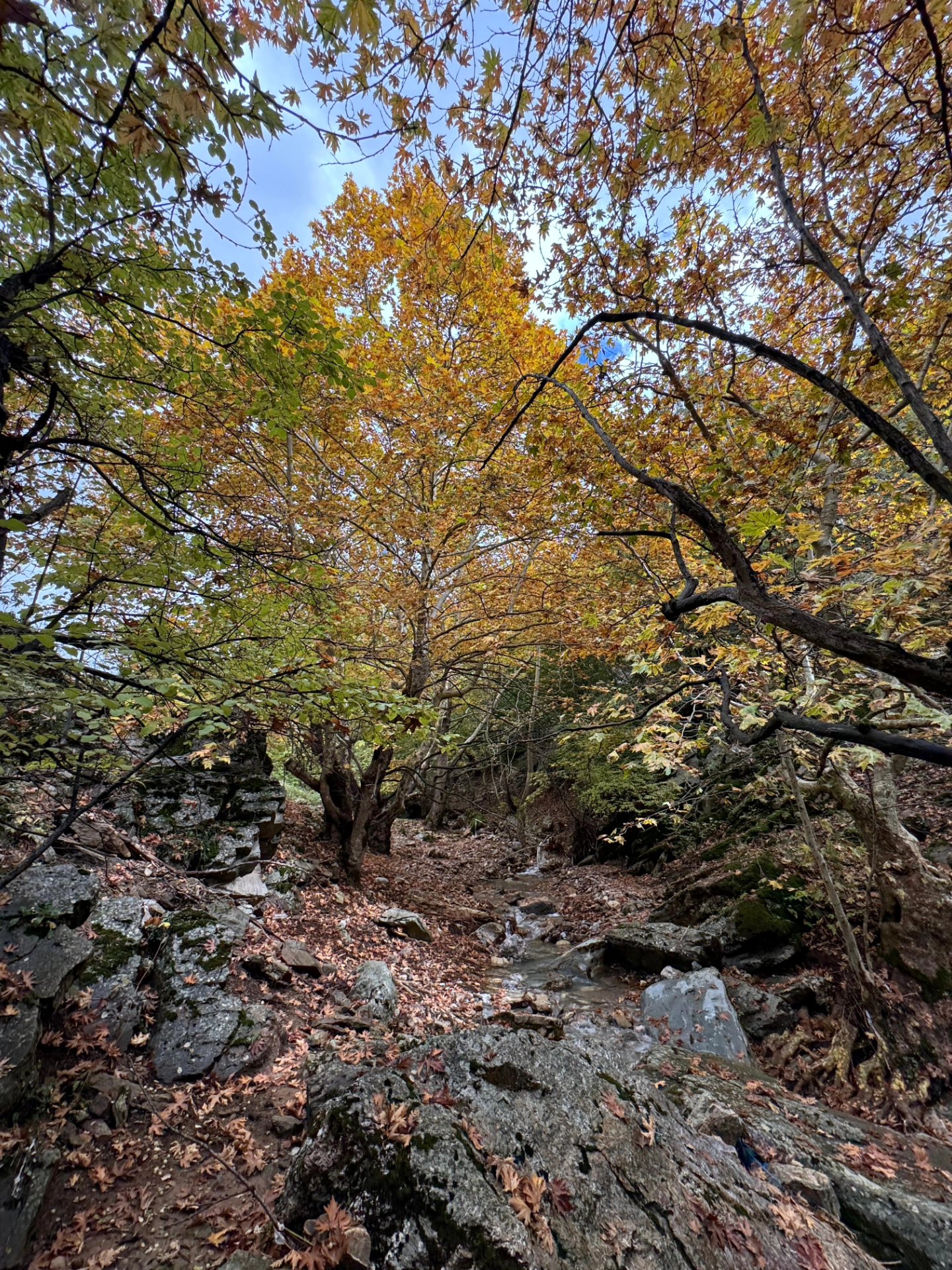 İskenderun Amanoslar Yonsul Yaylası’nda Doğa Keyfi2