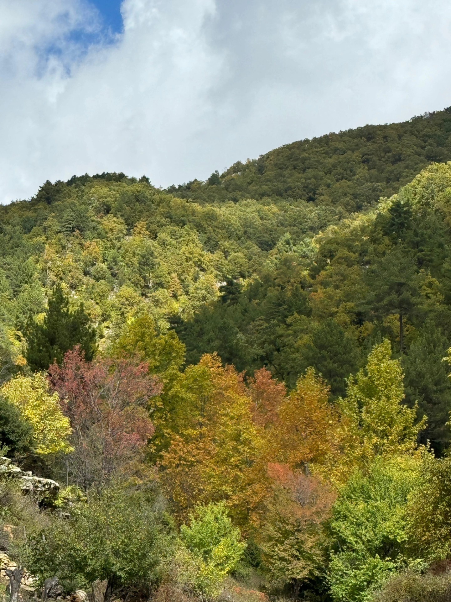 İskenderun Amanoslar Yonsul Yaylası’nda Doğa Keyfi3