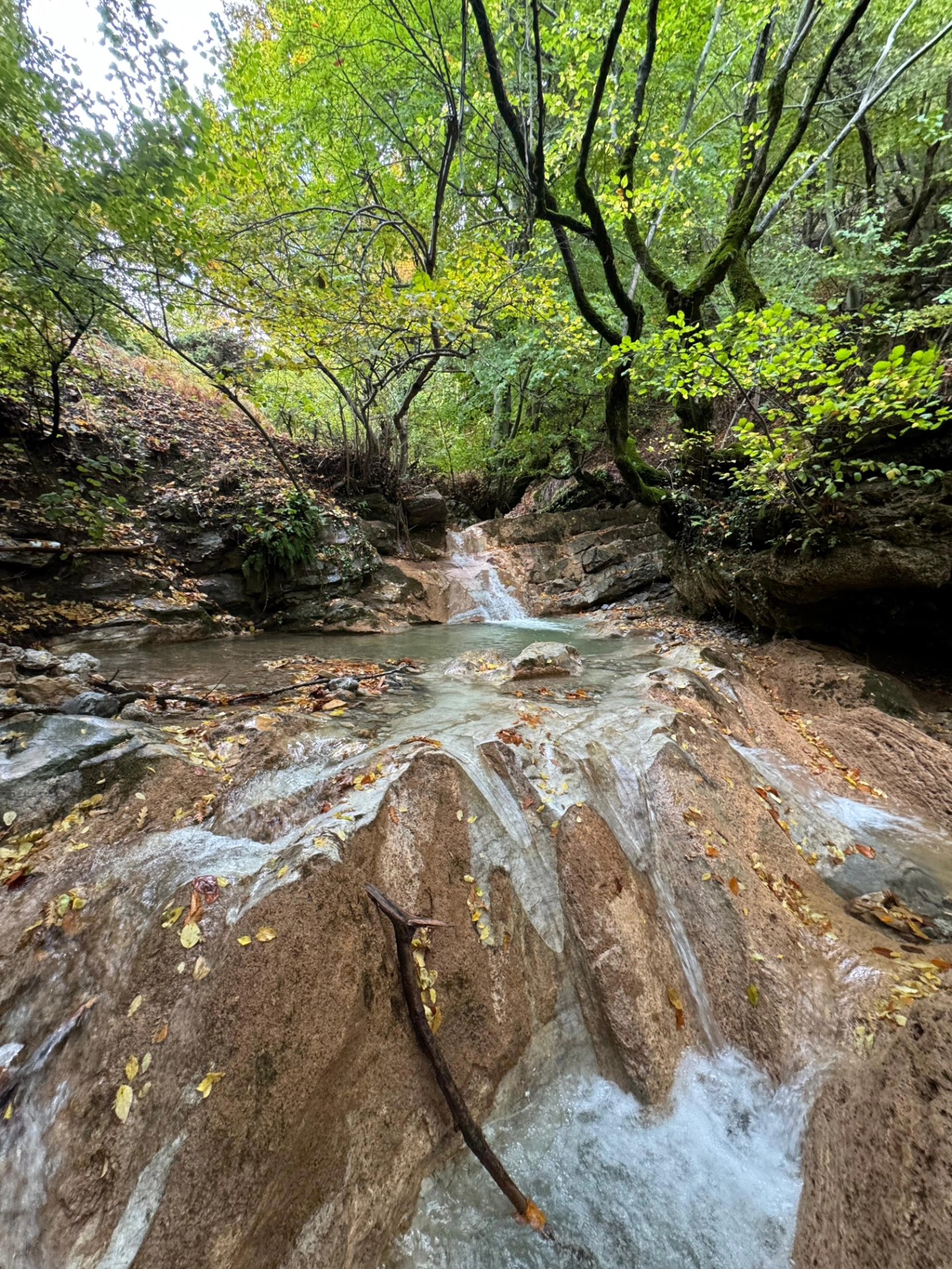 İskenderun Amanoslar Yonsul Yaylası’nda Doğa Keyfi5