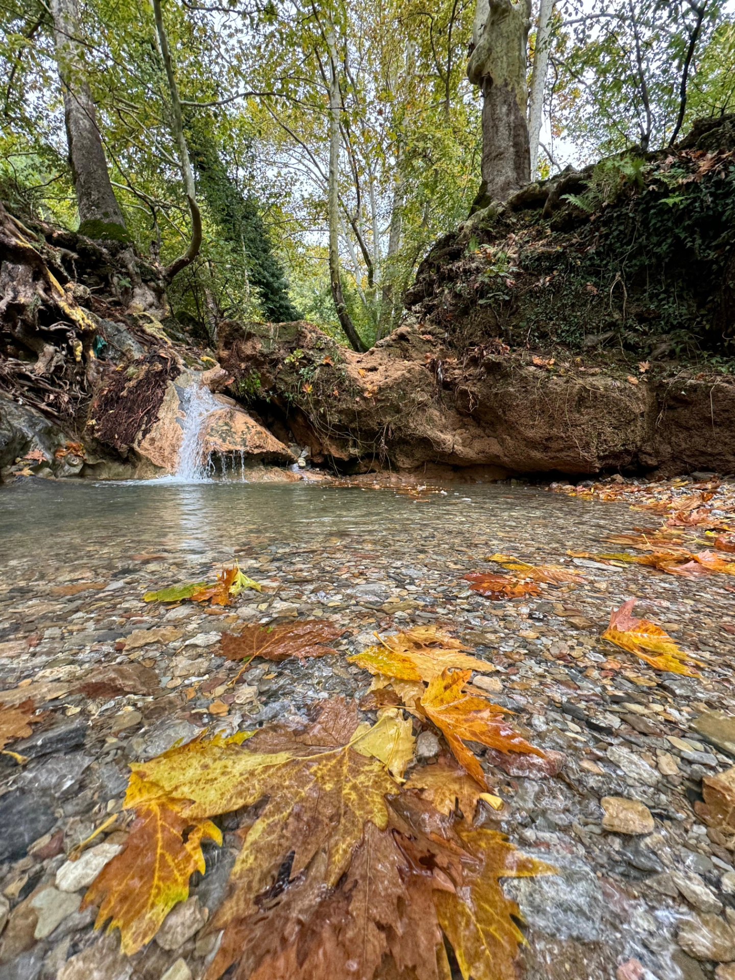 İskenderun Amanoslar Yonsul Yaylası’nda Doğa Keyfi7-1