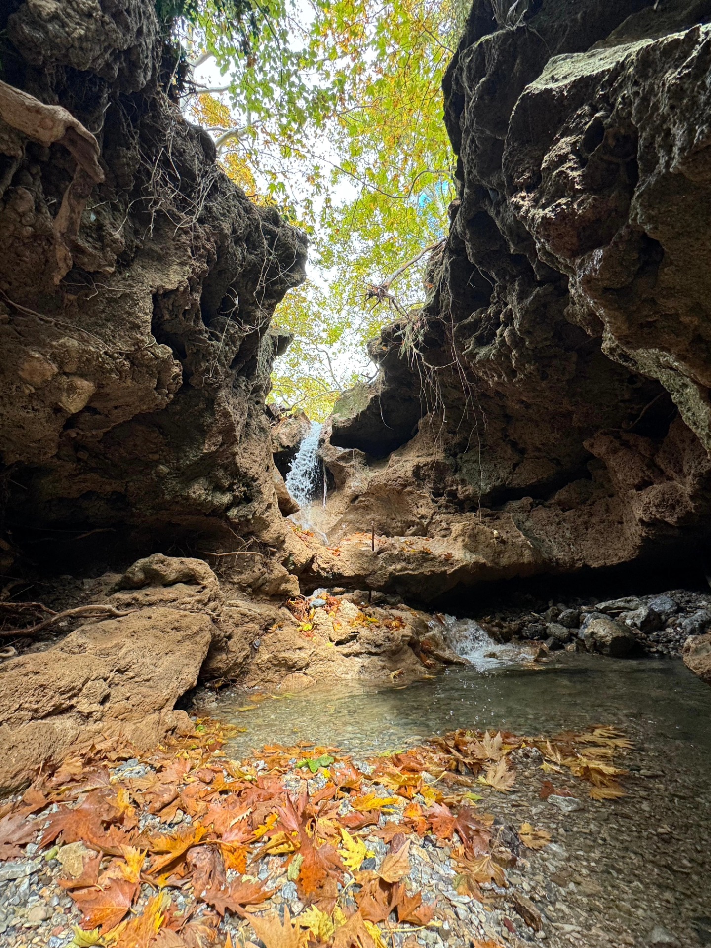 İskenderun Amanoslar Yonsul Yaylası’nda Doğa Keyfi8