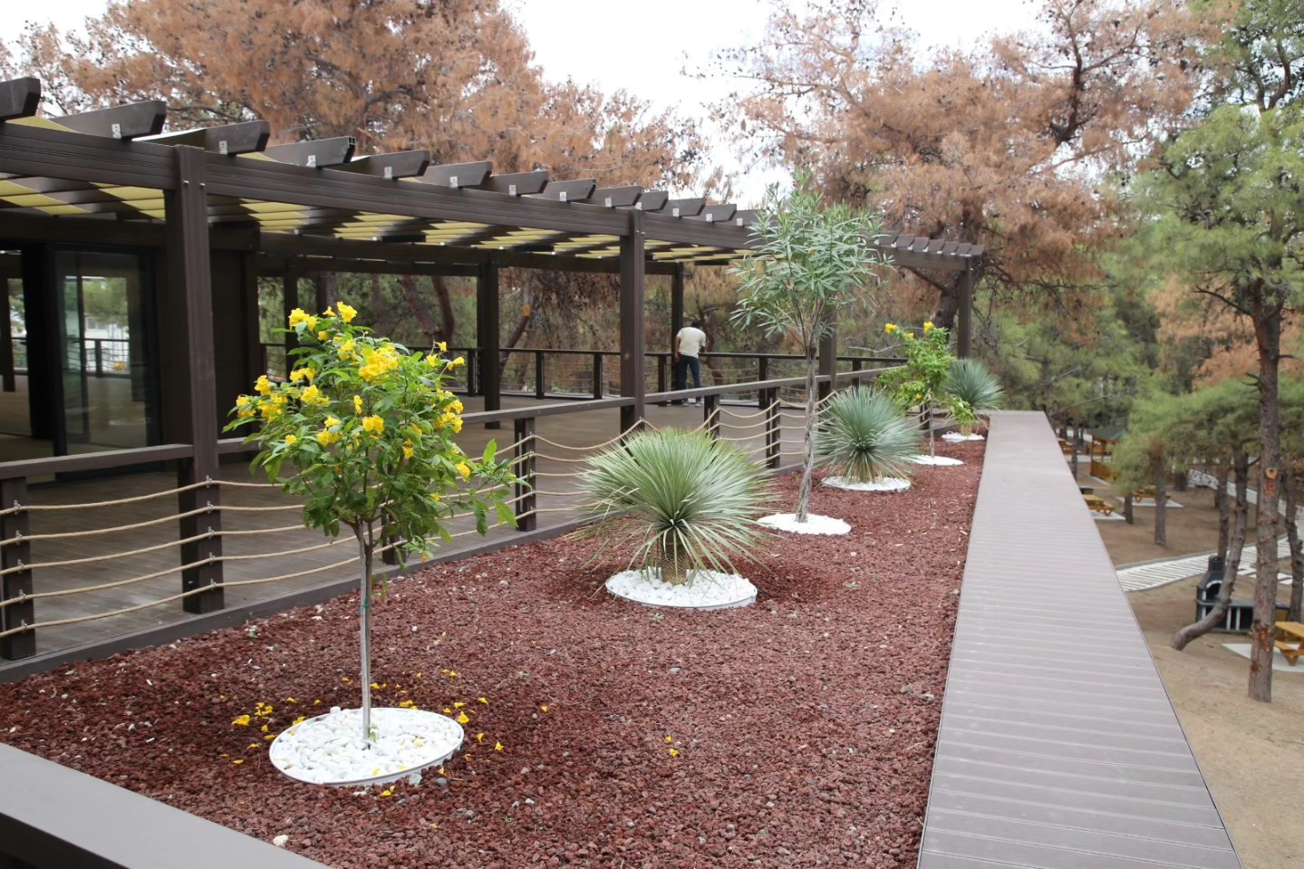 İskenderun’a Nefes Aldıracak Orman Parkı Açılıyor13