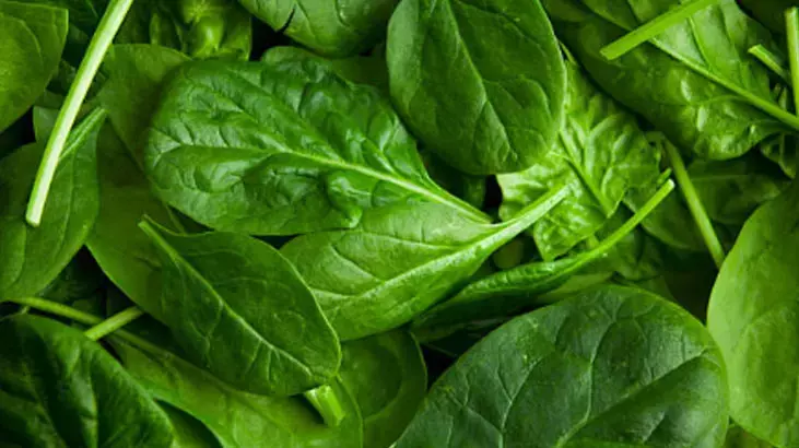 Ispanak Sevmeyenleri Bile Mest Eden Pratik Tarif3