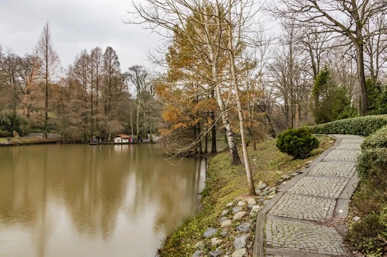 İstanbul’da Sonbahar Keyfi Atatürk Arboretumu’nda Doğa2