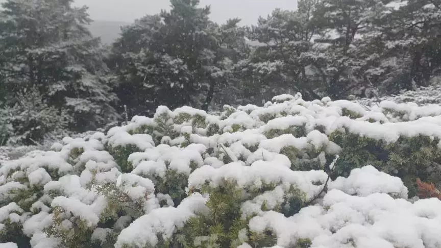 İstanbul’un Yanı Başında Kar Yağışı Etkili Oldu3