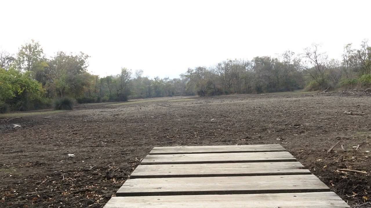 Karacabey Longozu Kurudu Türkiye’nin 3. Büyük Longozu2