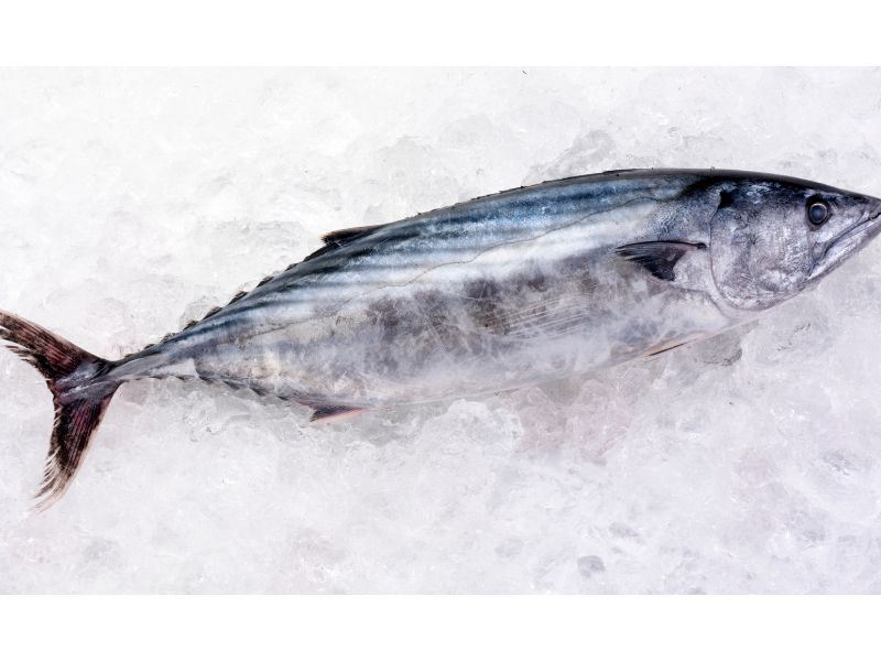 Karadeniz Lezzeti Palamut Pilaki Nasıl Yapılır2