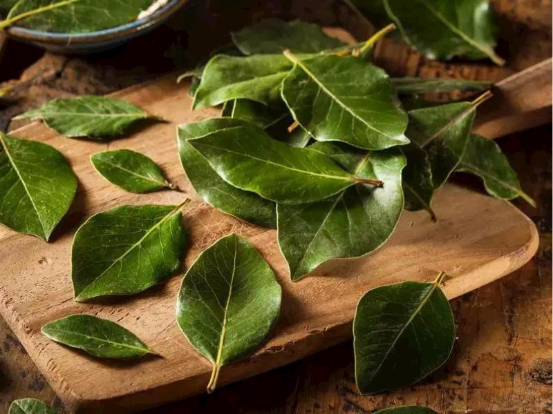 Karadeniz Lezzeti Palamut Pilaki Nasıl Yapılır4