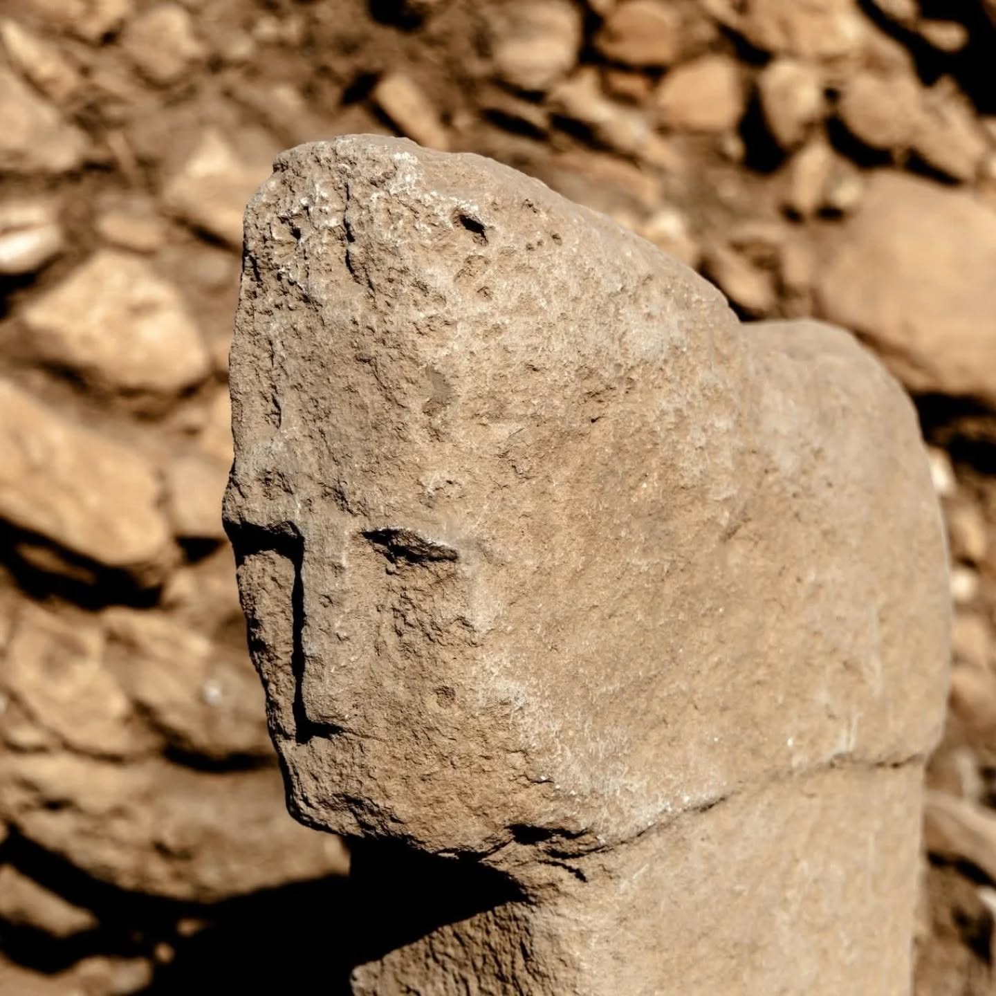 Karahantepe’de İnsan Yüzlü Dikili Taş Bulundu2