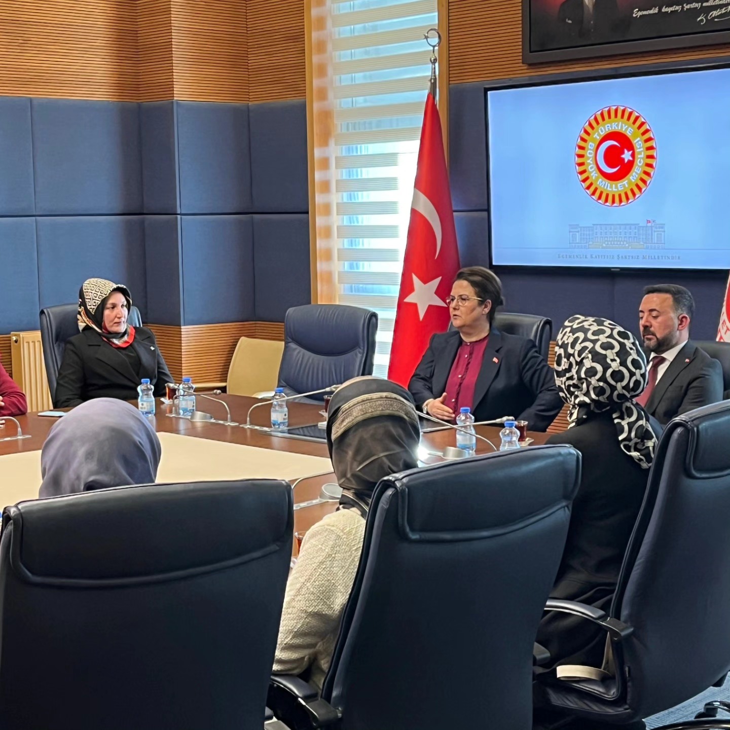 Kararmaz, Tbmm’de Milletvekilleriyle Projeleri Görüştü4