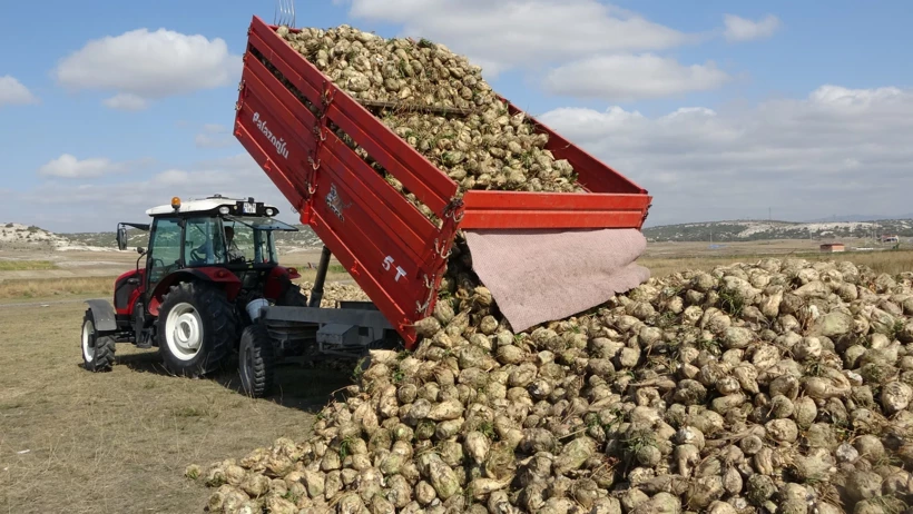 Kütahya Çiftçileri 350 Bin Ton Pancar Bekliyor2