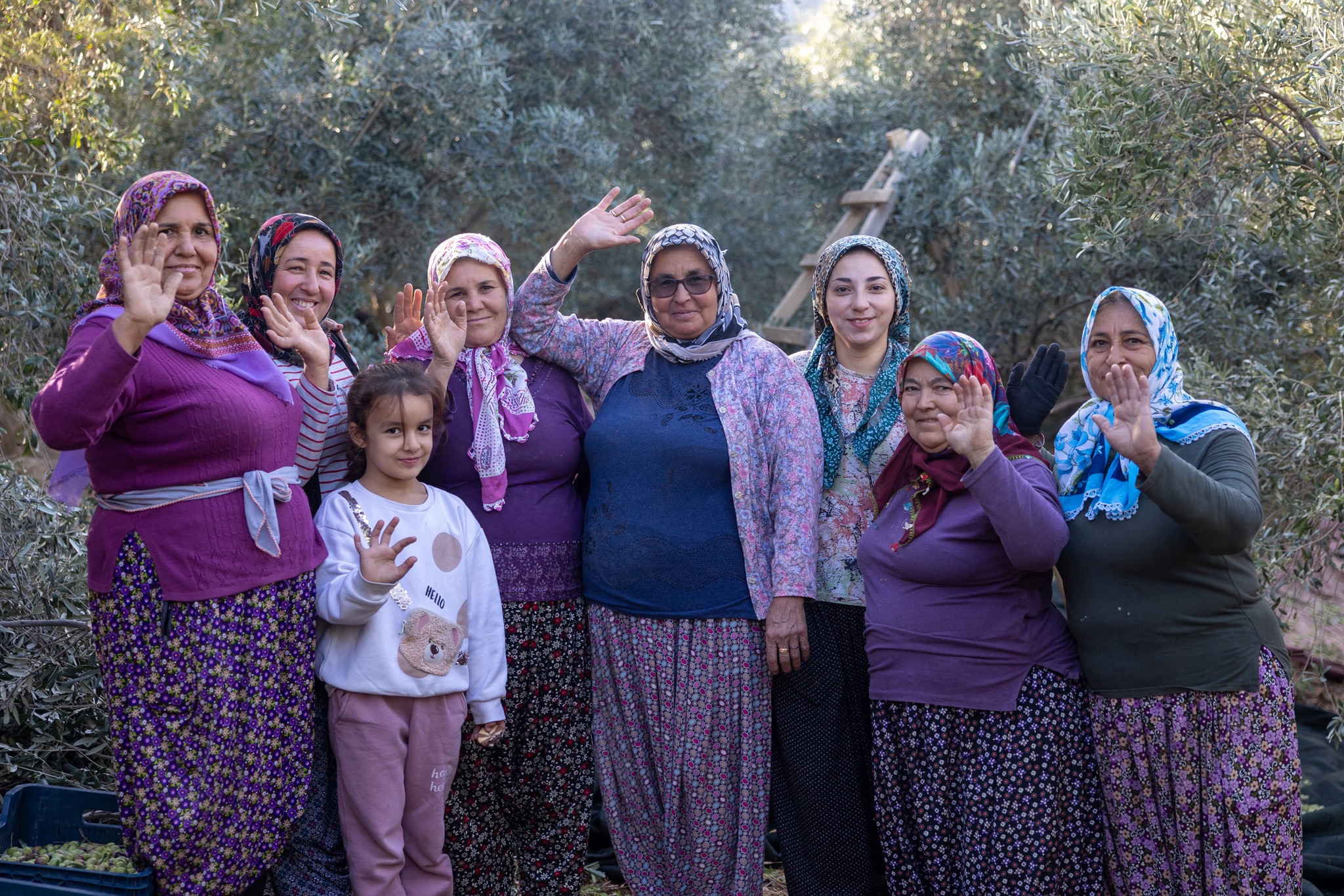 Mersin’de Zeytin Fidanları Kırsala Bereket Getirdi4