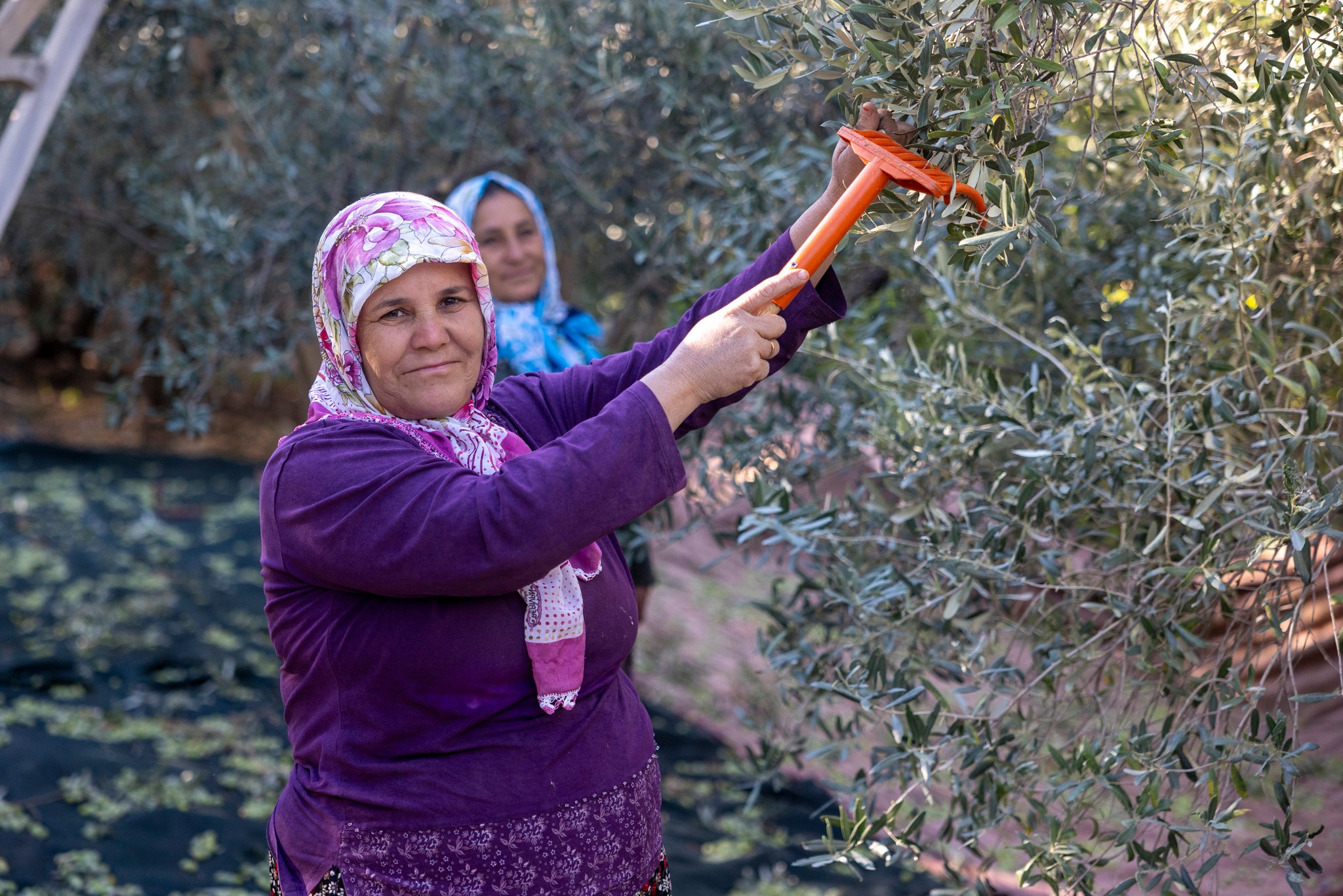 Mersin’de Zeytin Fidanları Kırsala Bereket Getirdi9