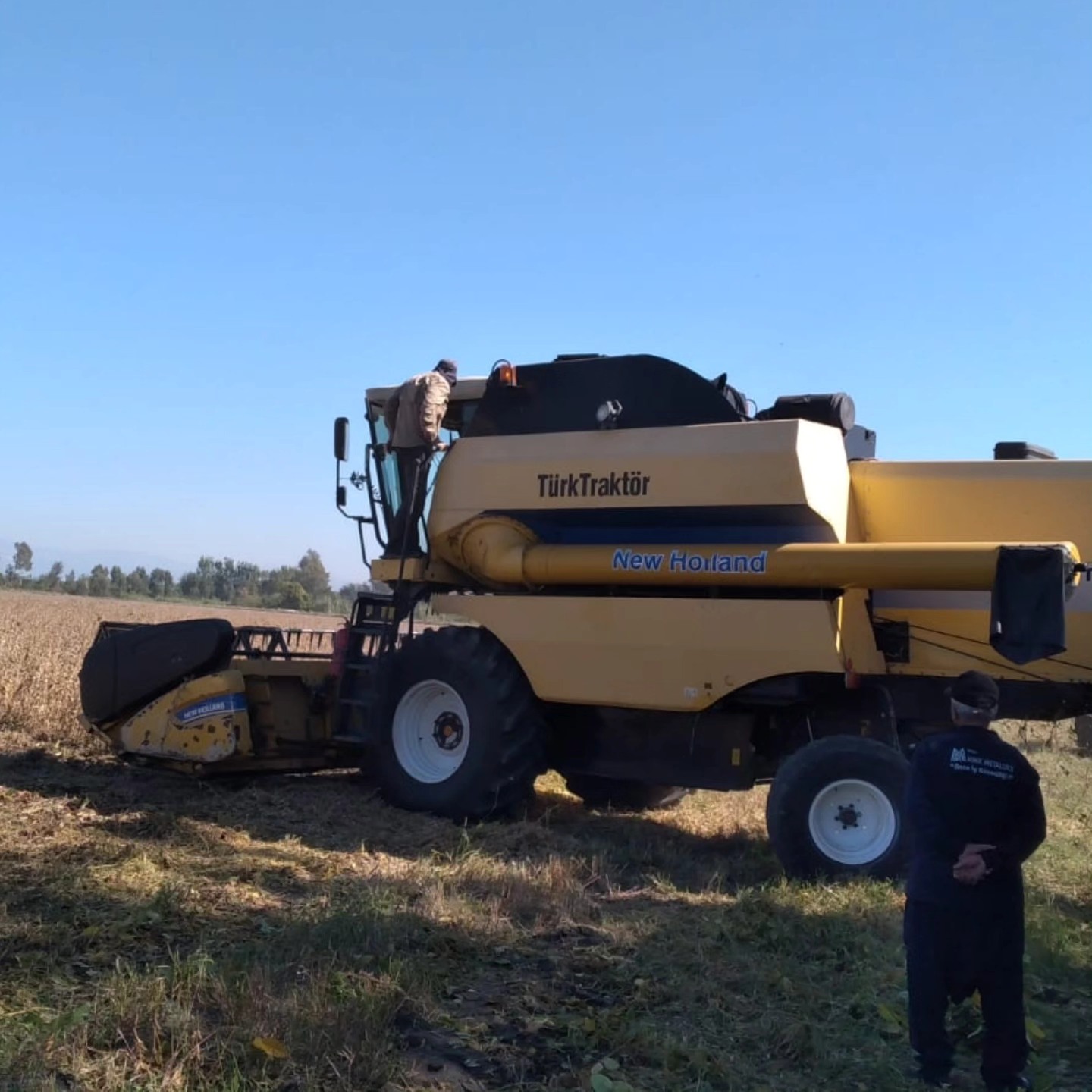Osmaniye’de Sertifikalı Tohum Üretiminde Hasat Dönemi2