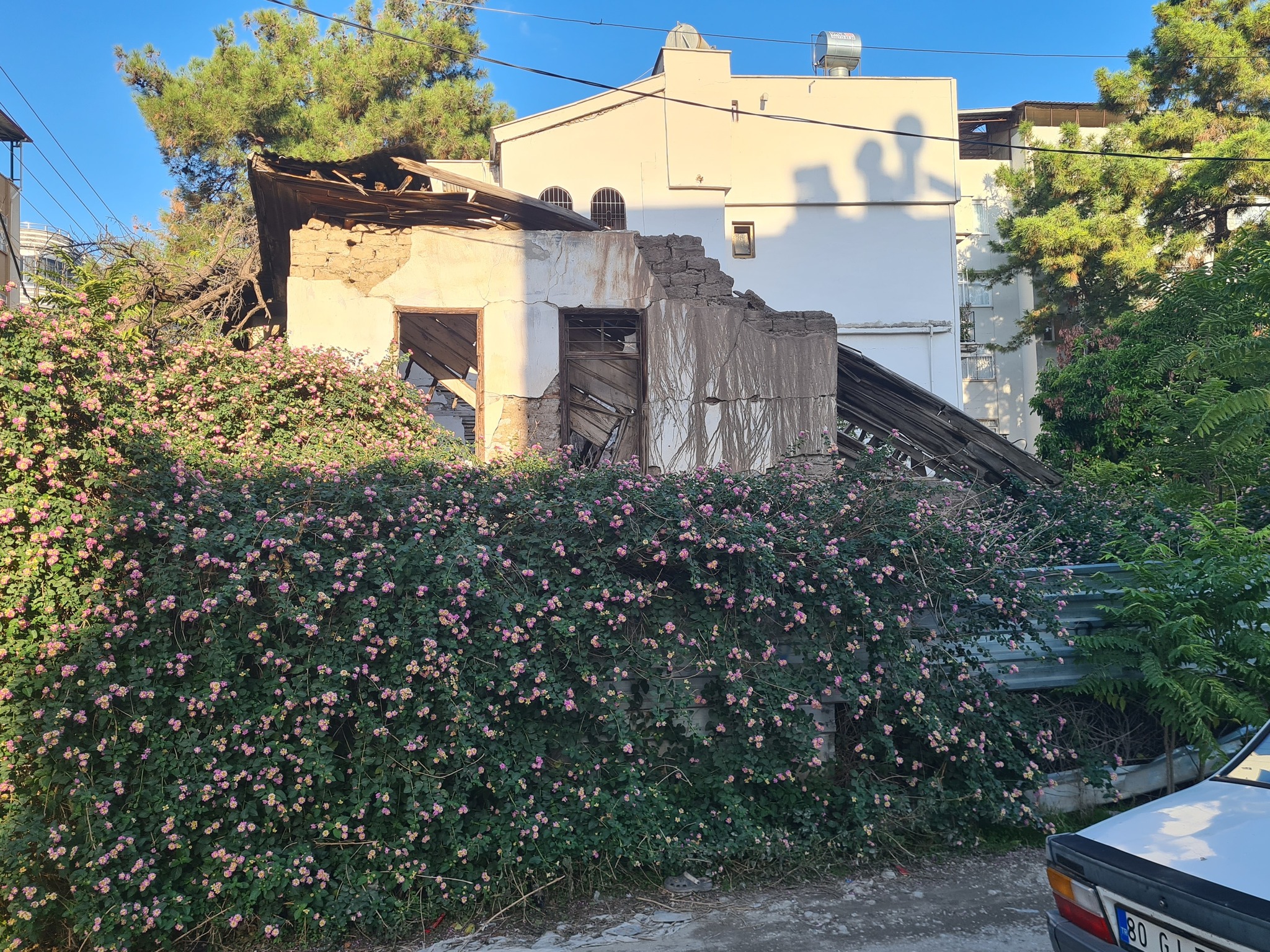Osmaniye’de Tescilli Kültür Varlığı Kaderine Terk Edildi2