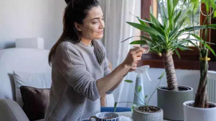 Osmaniyeliler İçin Ev Bitkilerine 2 Dakikada 2 Aya Bakım4