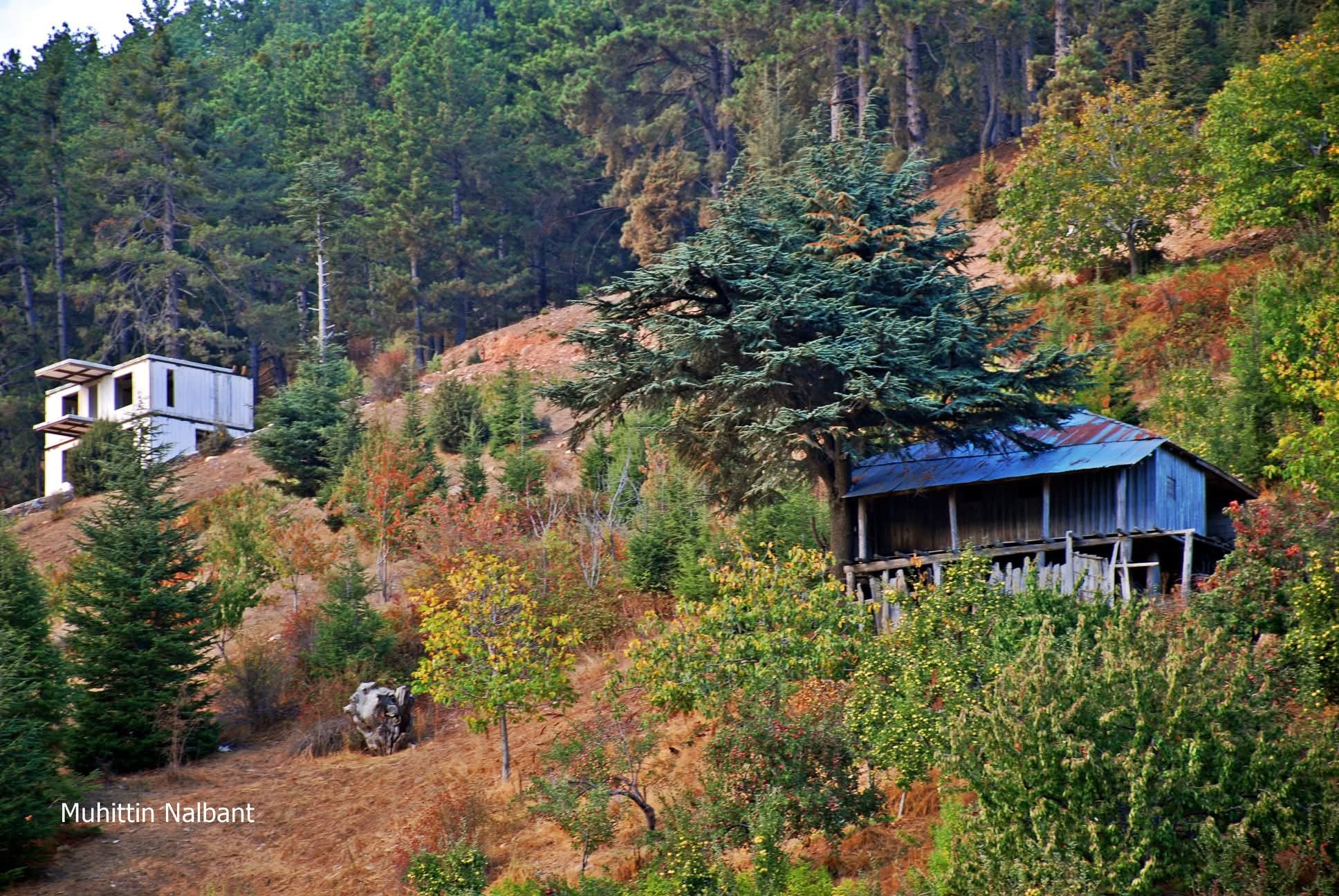 Osmaniyeliler İçin Hınzırlı Yaylası’nda Sonbahar Keyfi2
