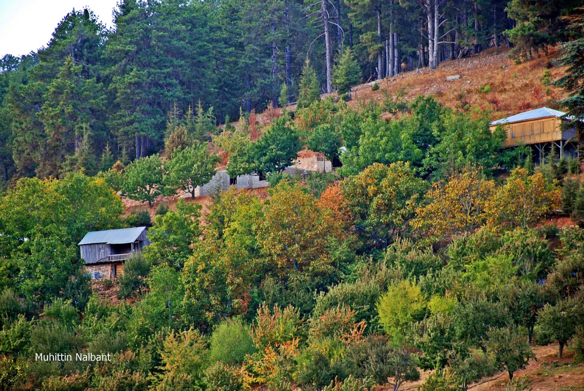 Osmaniyeliler İçin Hınzırlı Yaylası’nda Sonbahar Keyfi3
