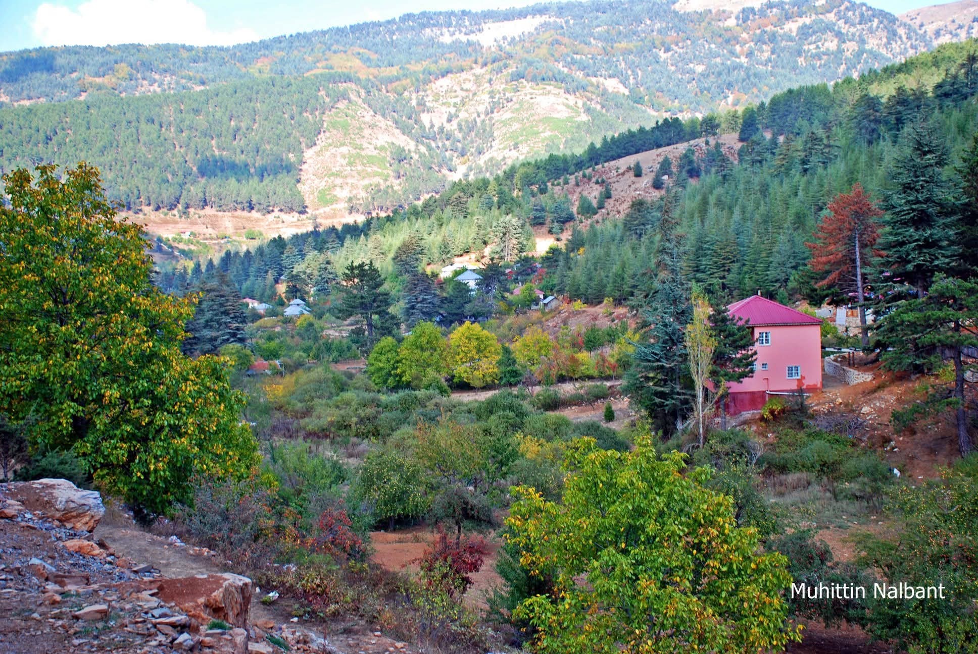Osmaniyeliler İçin Hınzırlı Yaylası’nda Sonbahar Keyfi4