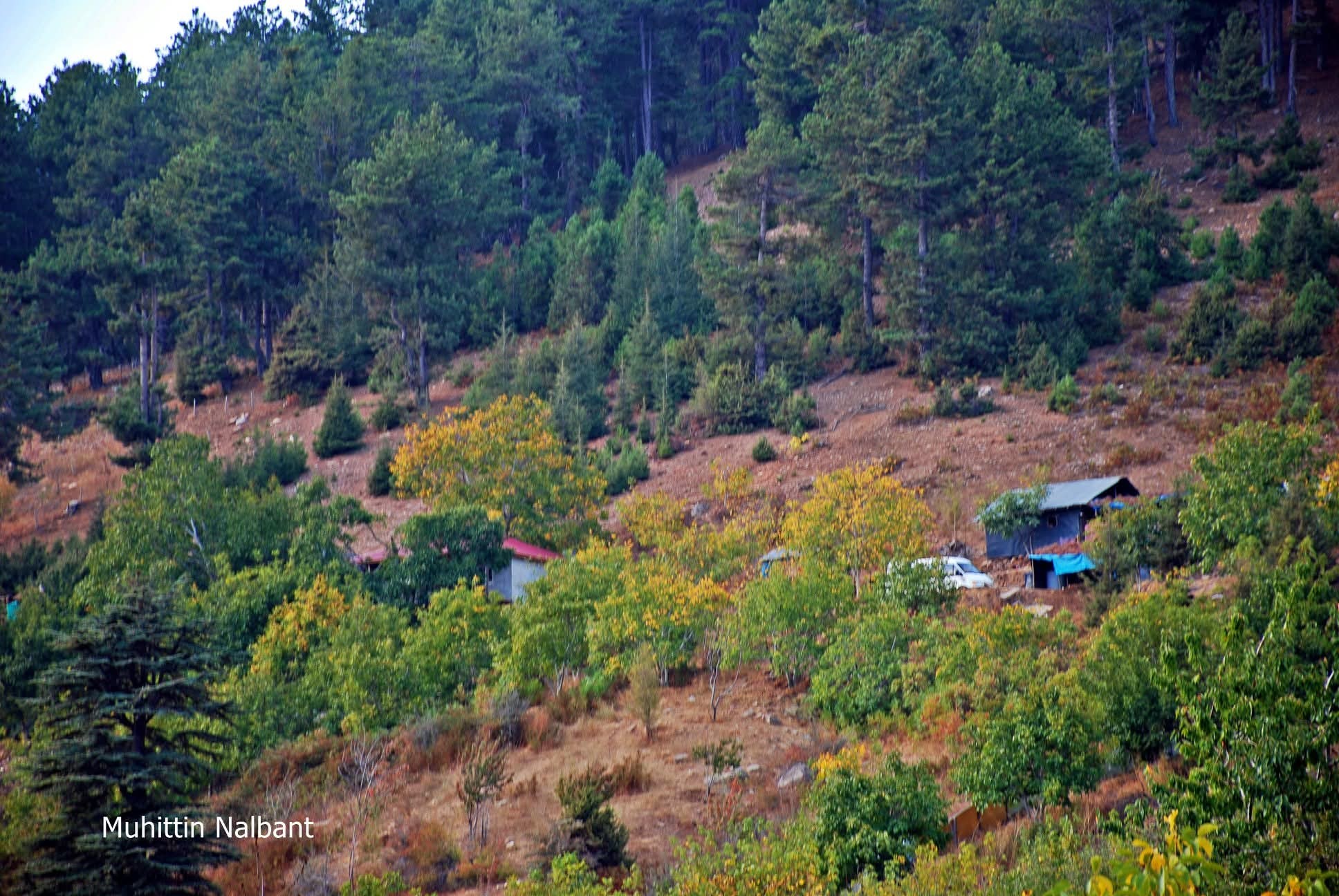 Osmaniyeliler İçin Hınzırlı Yaylası’nda Sonbahar Keyfi5