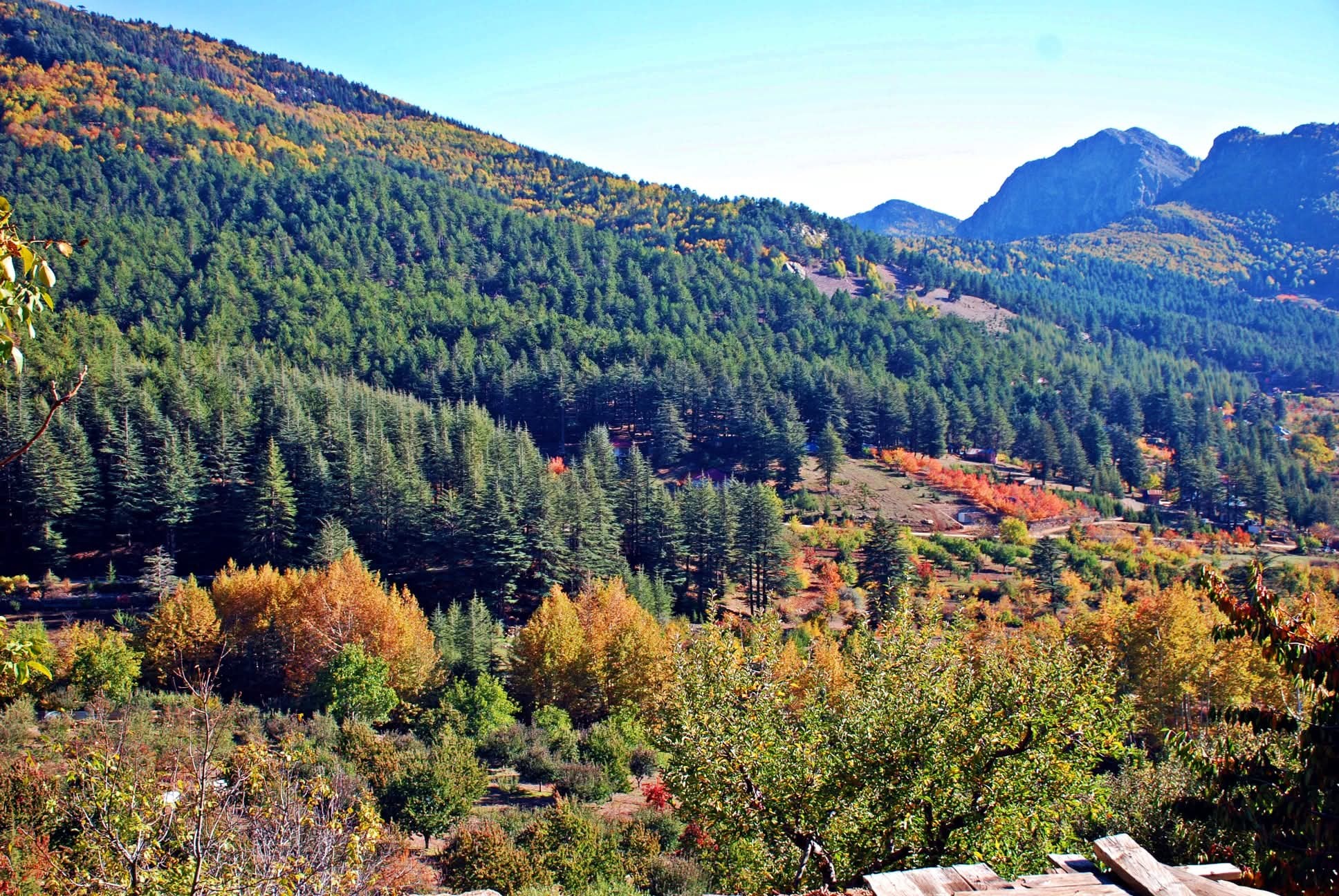 Osmaniyeliler İçin Hınzırlı Yaylası’nda Sonbahar Keyfi7