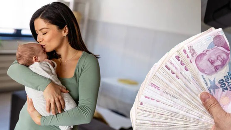 Osmaniyelilere Müjde 477 Bin Anneye 4,6 Milyar Tl Destek2