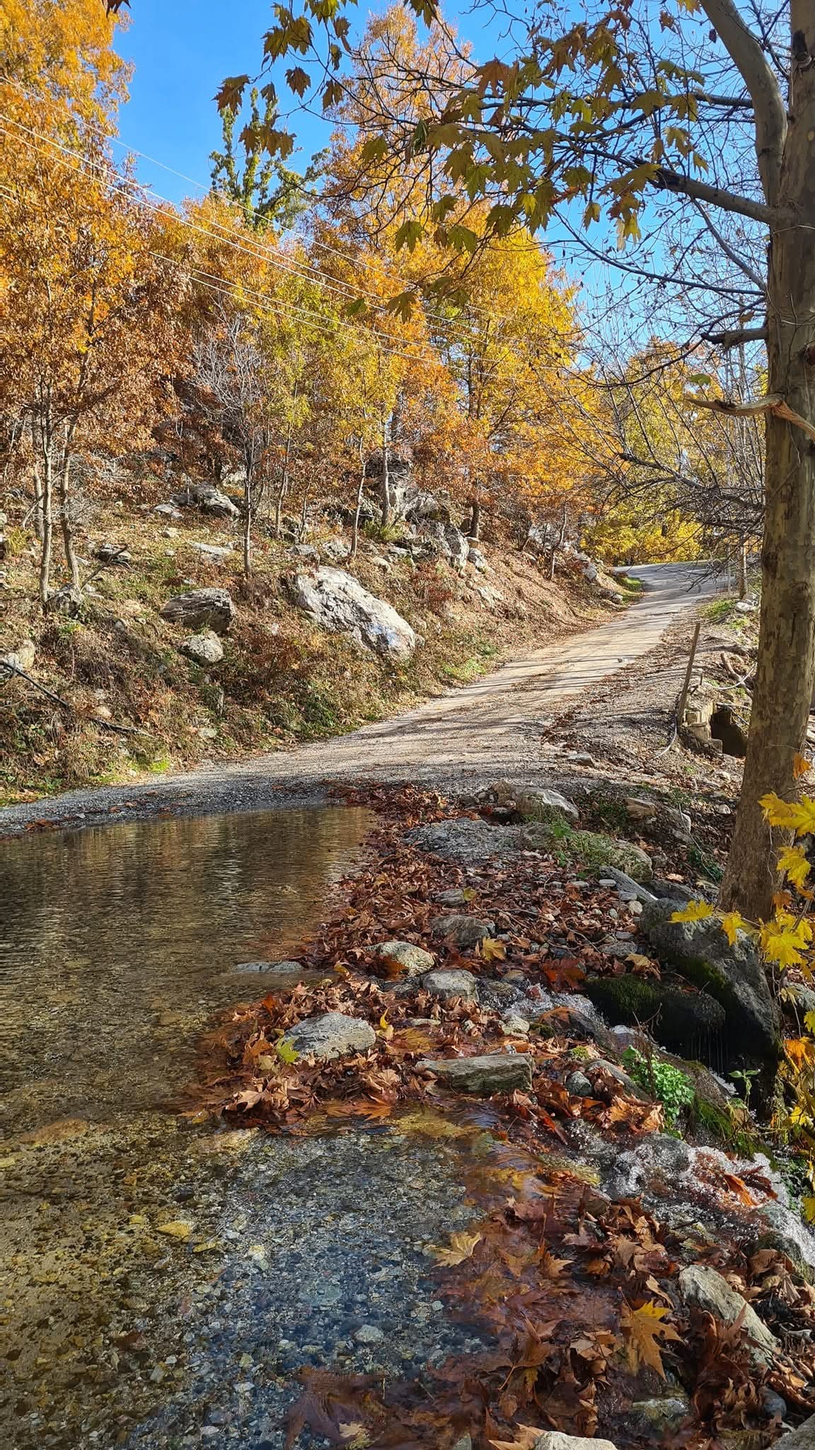 Osmaniye’nin Amanoslar’ında Sonbahar Büyüsü