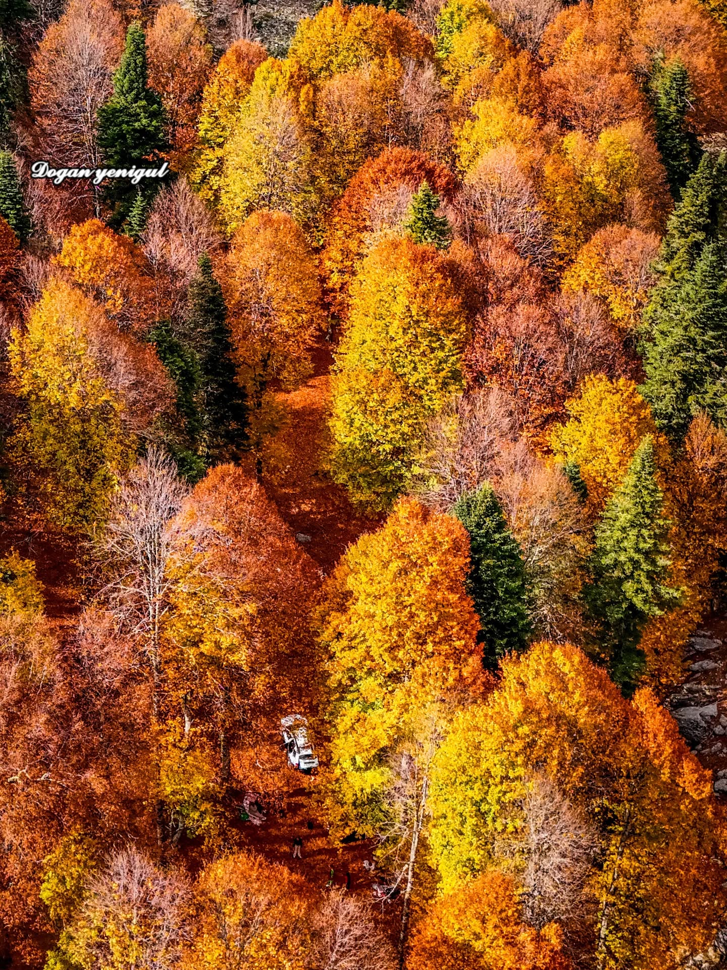 Sonbahar Renkleriyle Doğa Adeta Bir Tabloya Dönüştü