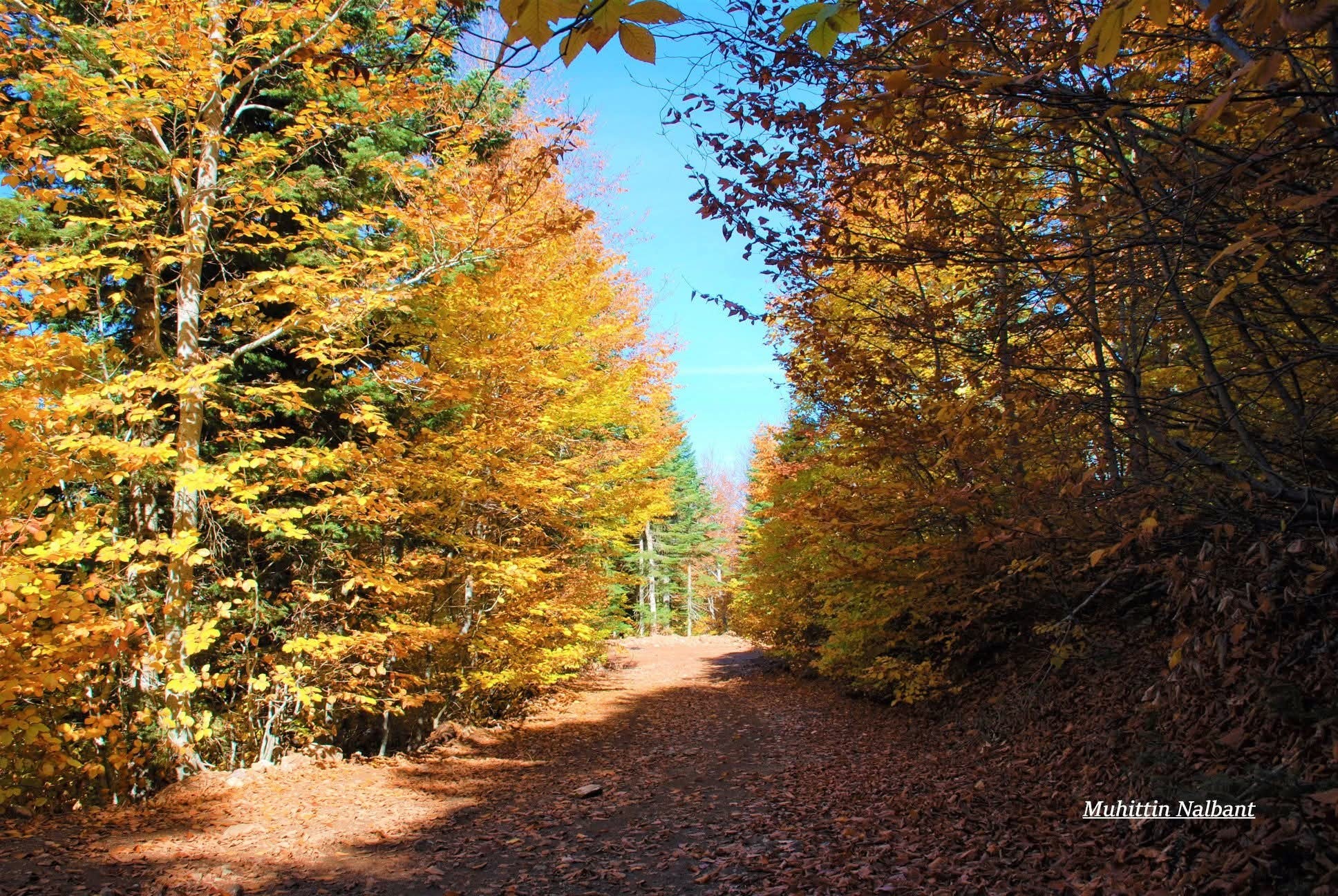 Zorkun Yaylası Keldaz’da Sonbahar Büyüsü (2)