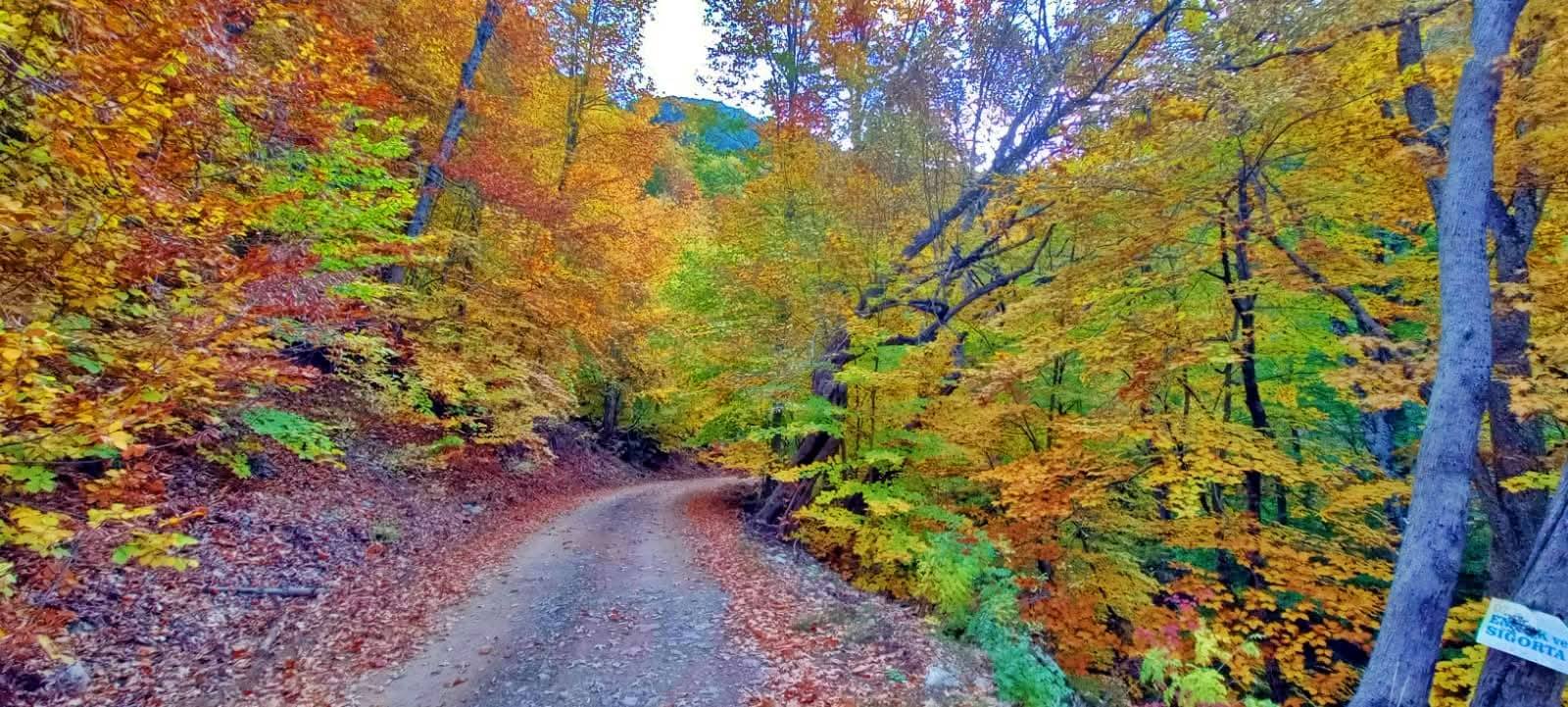 Akıntının Deresi Ve Çevresi Sonbaharda Renk Cümbüşü Sunuyor4