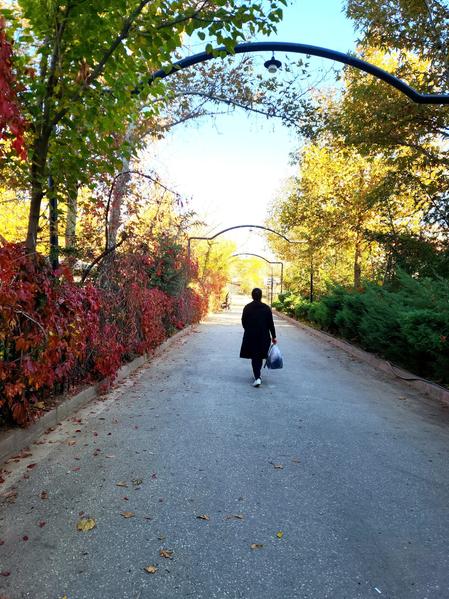 Aksaray Kültürpark’ta Muhteşem Sonbahar Manzarası5