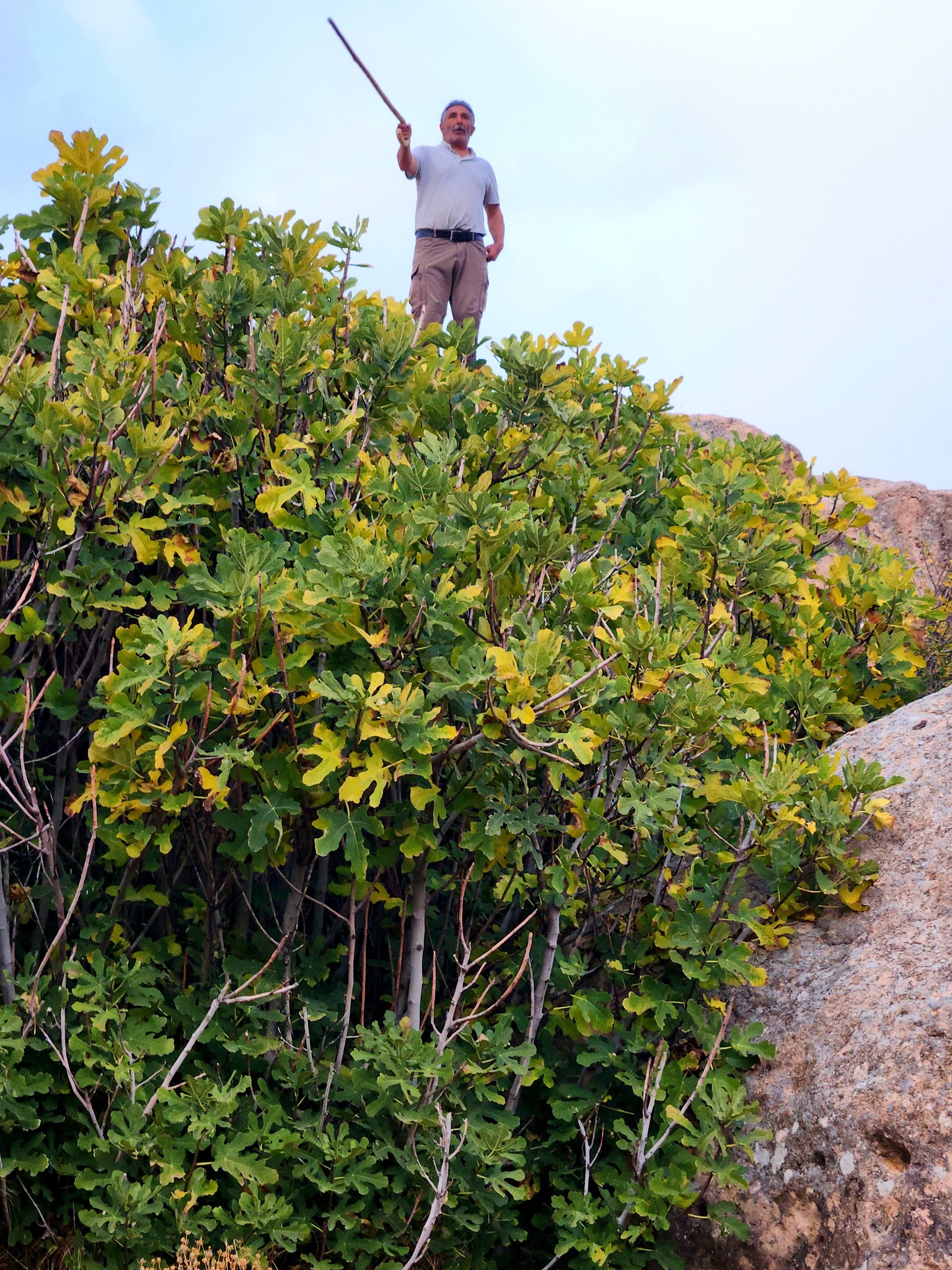 Aksaray’da Tarihi Kale Ve Mağaralar Ziyaretçileri Büyülüyor3