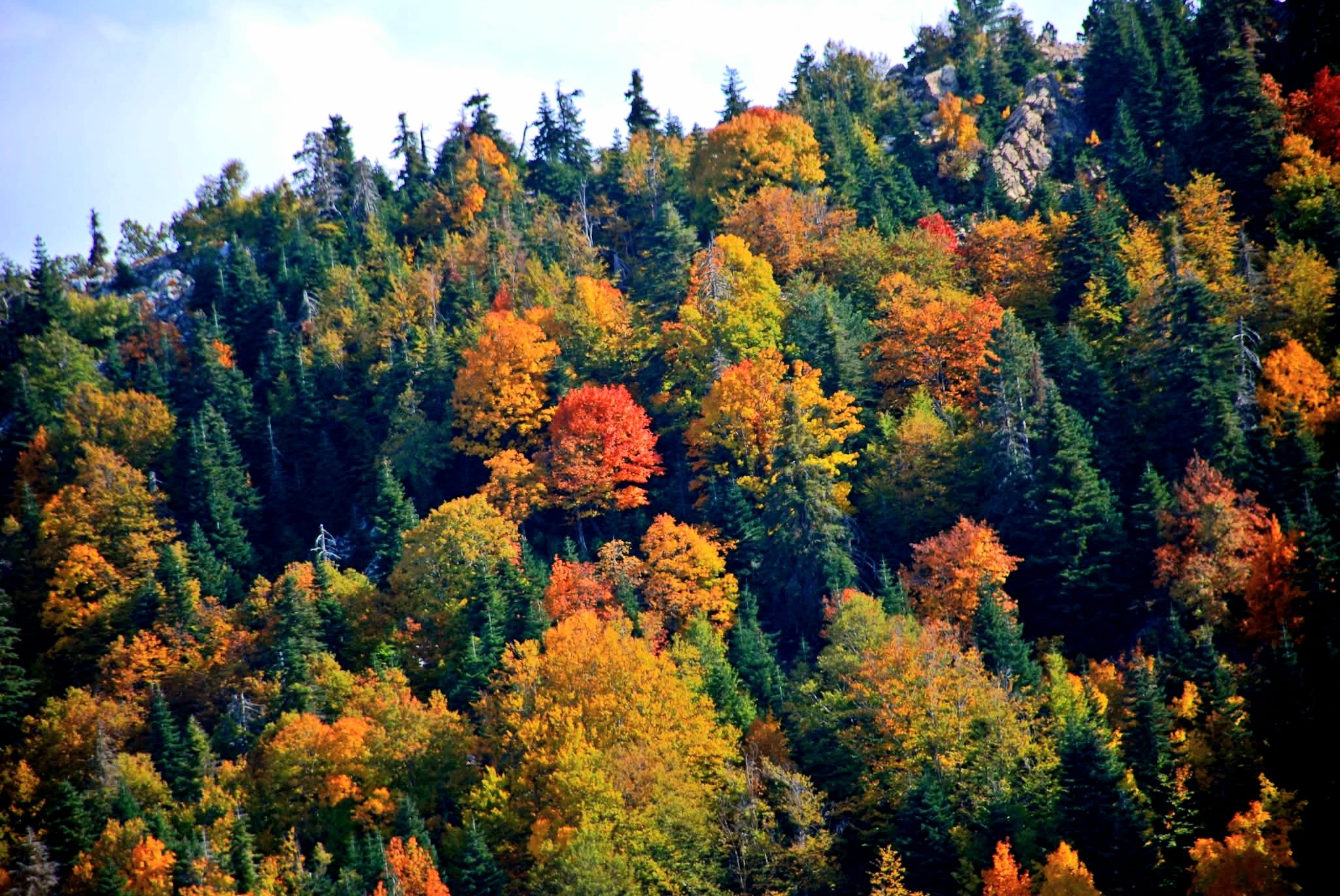 Amanos Dağlarında Osmaniyelilerin Doğa Ve Köy Yaşamı2