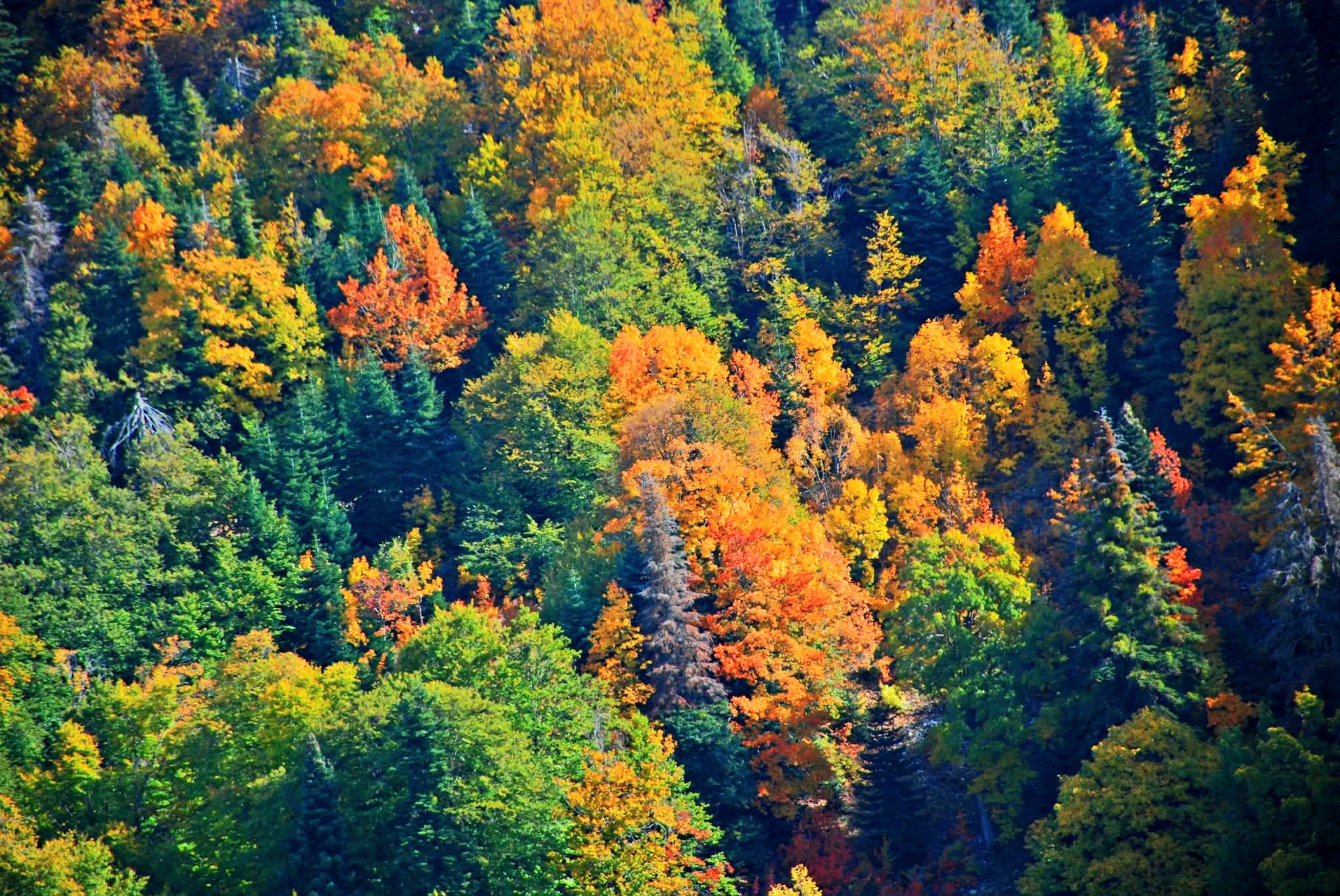 Amanos Dağlarında Osmaniyelilerin Doğa Ve Köy Yaşamı3