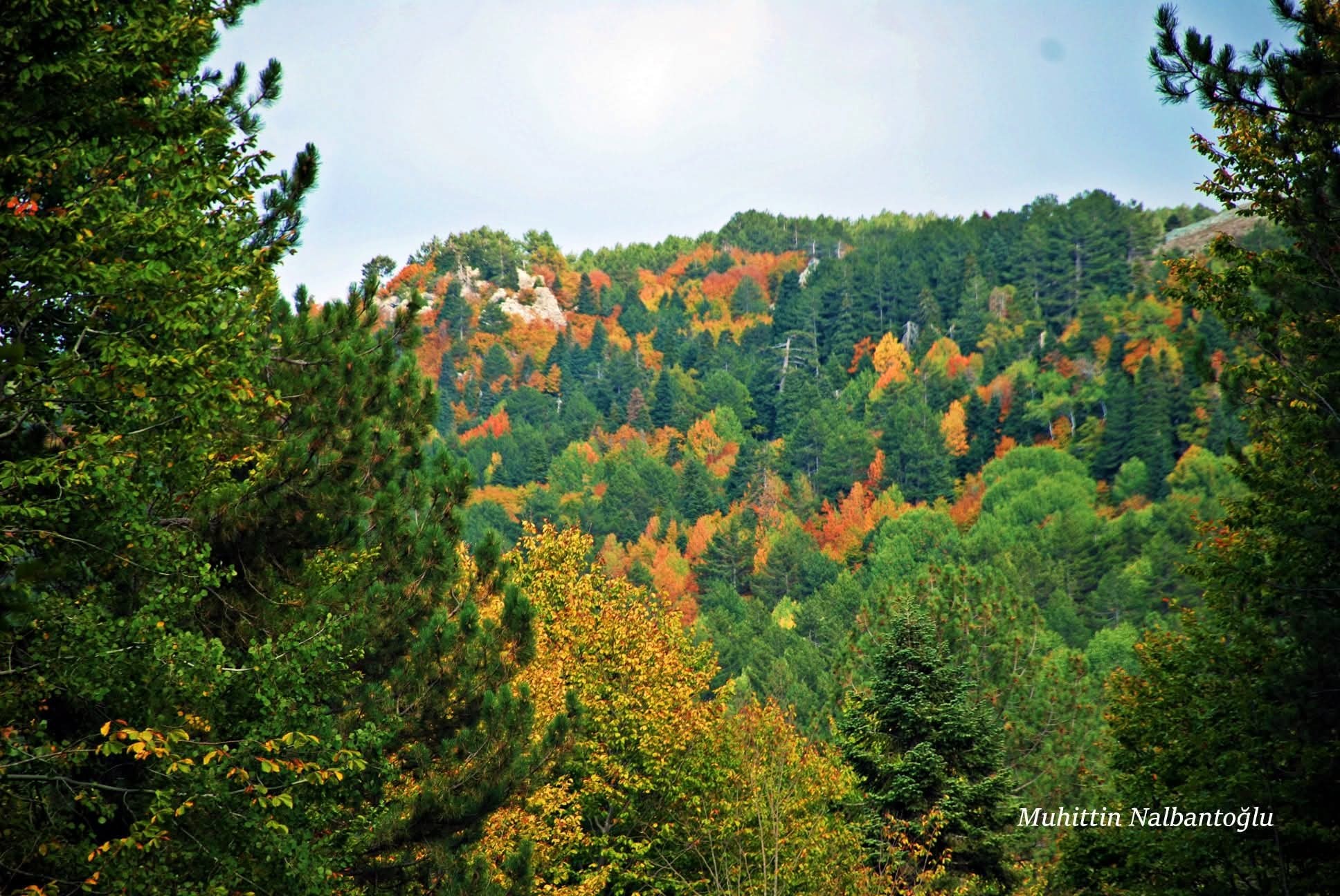 Amanos Dağlarında Osmaniyelilerin Doğa Ve Köy Yaşamı4