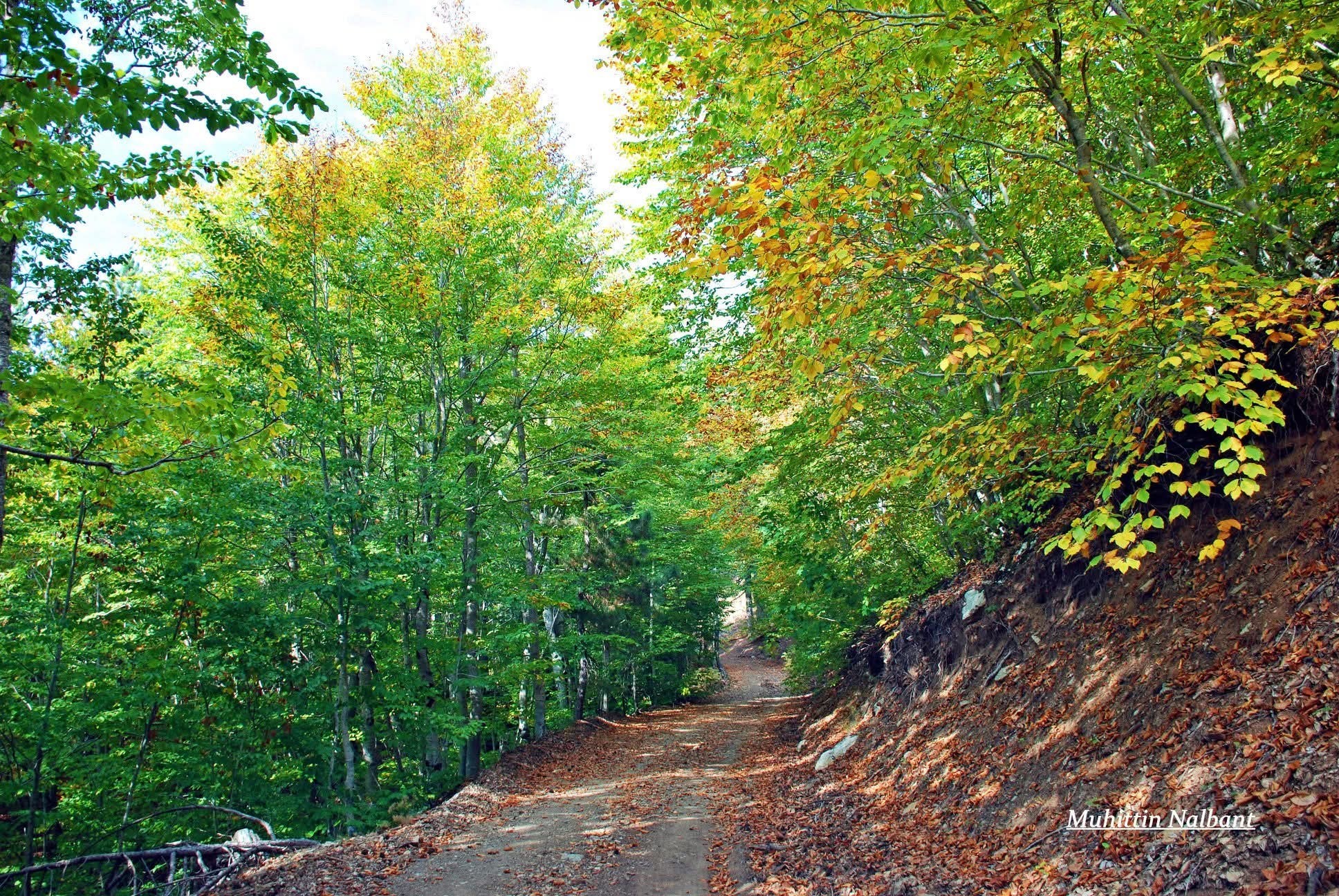 Amanos Dağlarında Osmaniyelilerin Doğa Ve Köy Yaşamı7