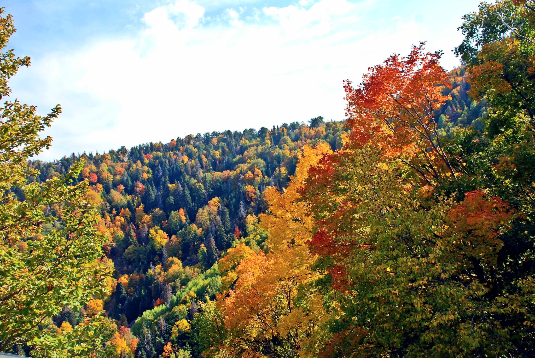 Amanos Dağlarında Osmaniyelilerin Doğa Ve Köy Yaşamı8