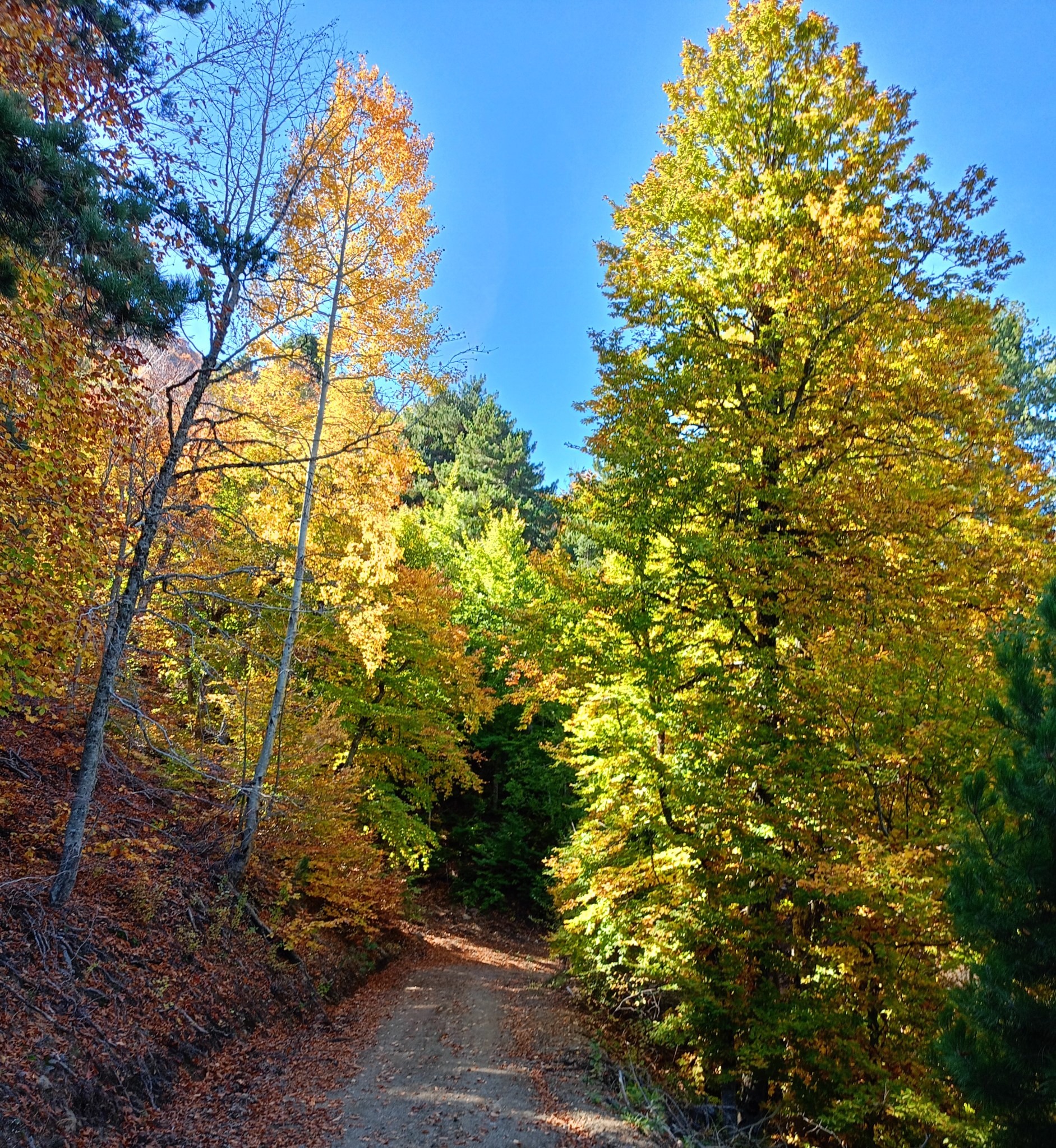 Amanoslarda 14 Kilometrelik Renkli Yolculuk (1)