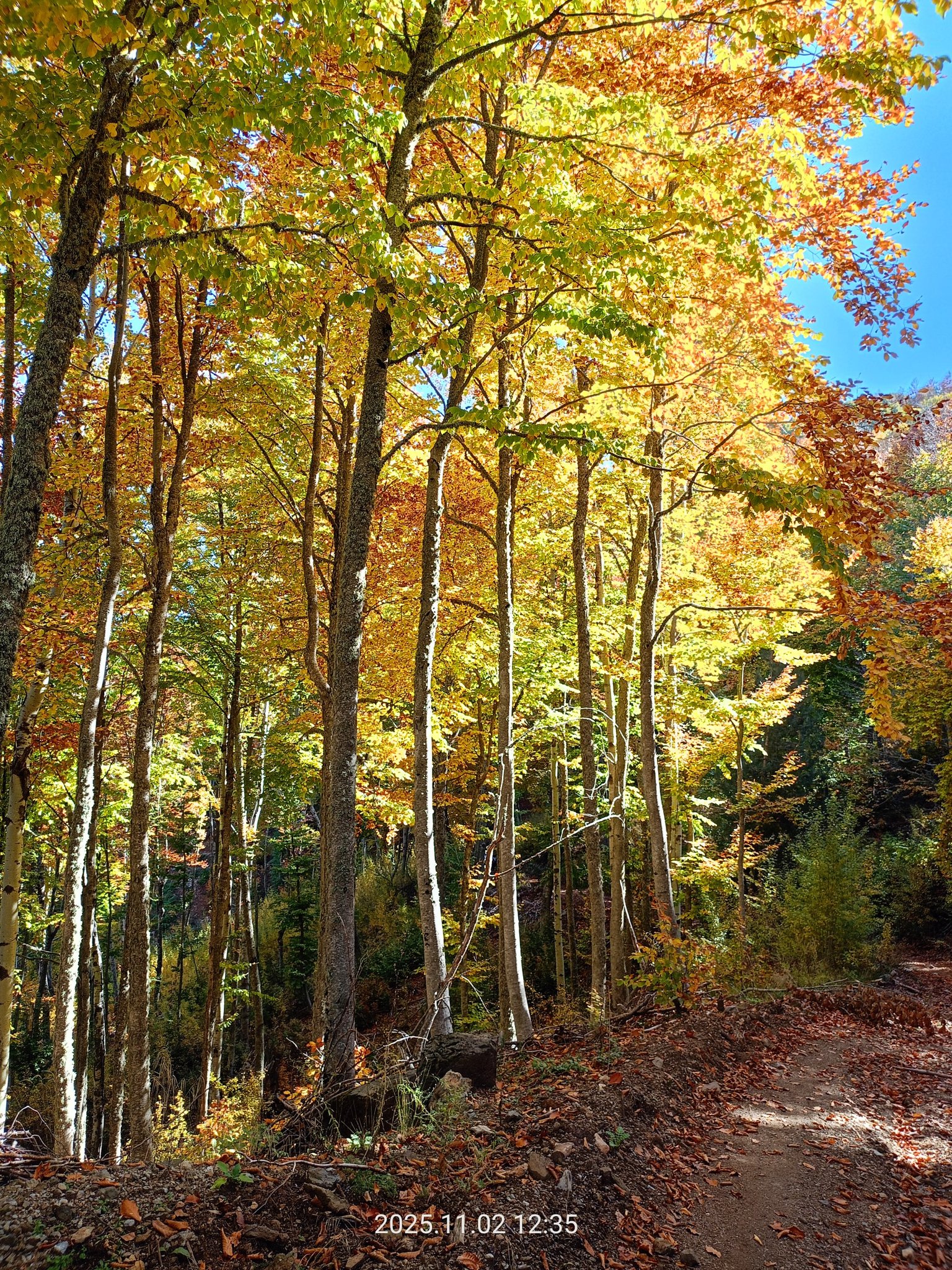 Amanoslarda 14 Kilometrelik Renkli Yolculuk (2)