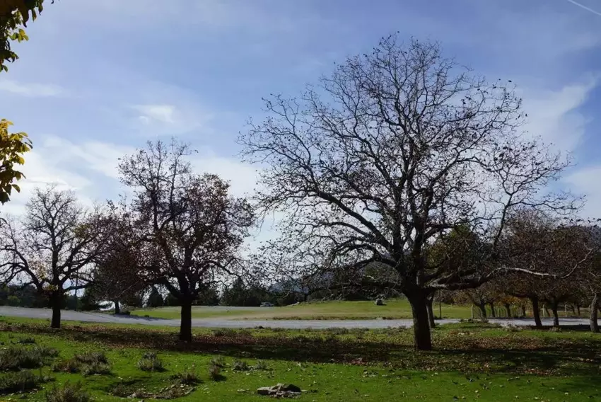 Aydın Paşa Yaylası Sonbaharın Renk Cümbüşüne Büründü5