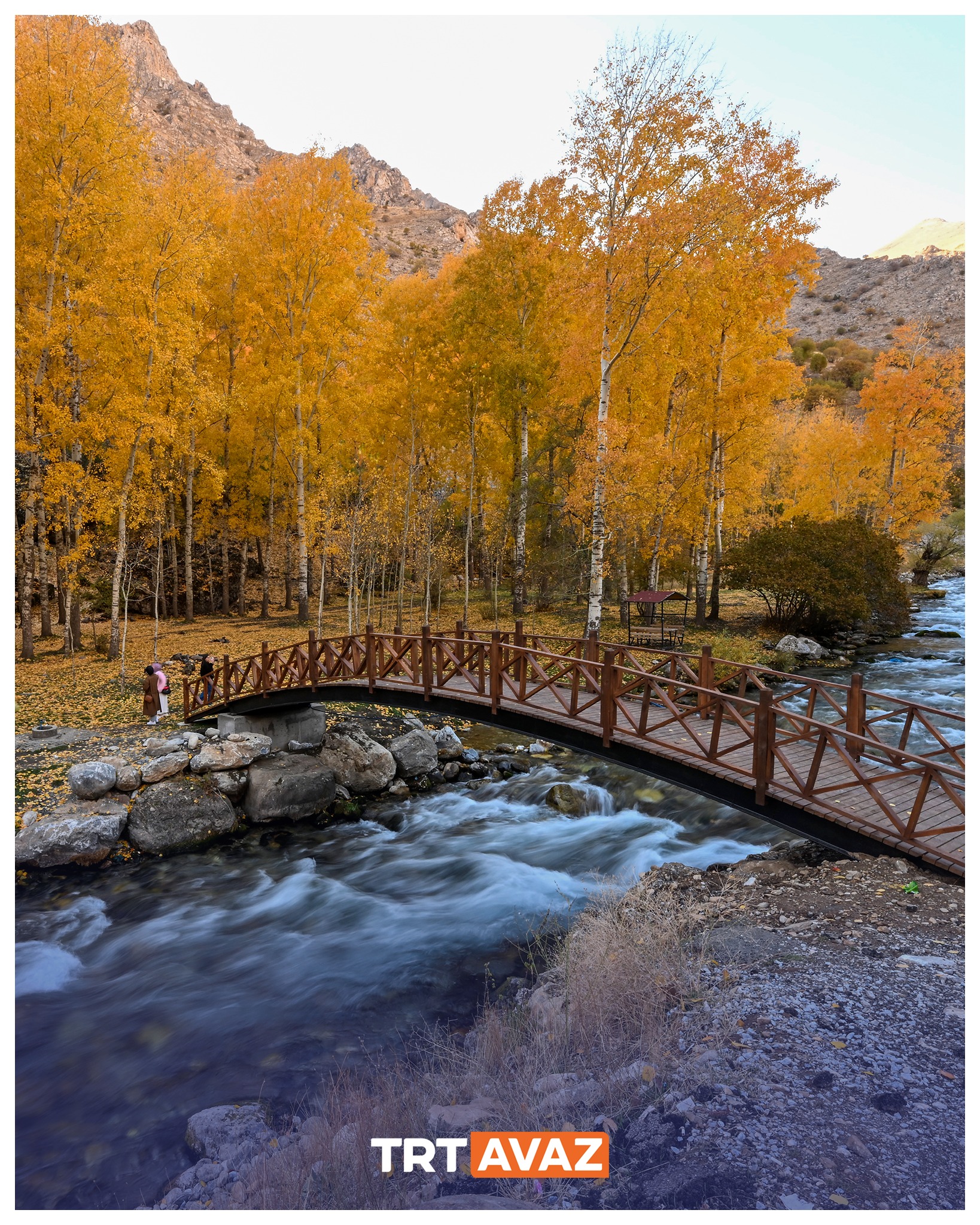 Bahçesaray’da Sonbahar Manzarası Görenleri Hayran Bırakıyor4