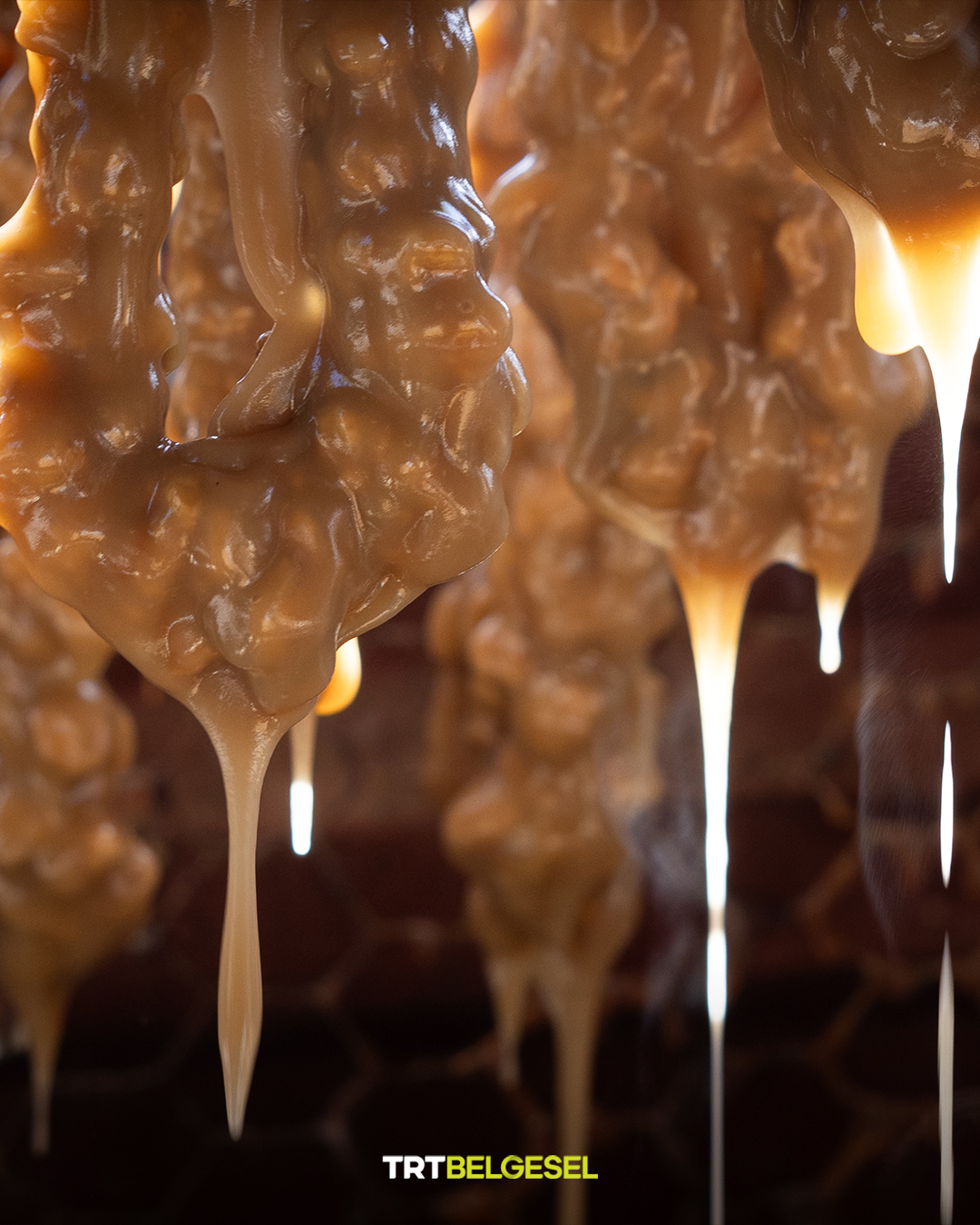 Batman Sason’da Geleneksel Cevizli Sucuk Ve Pestil Mesaisi Başladı (8)